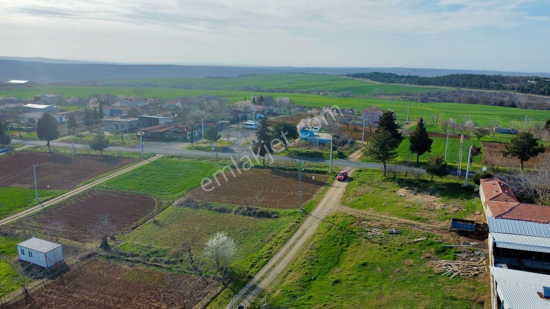 Tekirdağ Süleymanpaşa Ferhadanlı'da Yola Cepheli 600 M² Arsa - Görsel 8