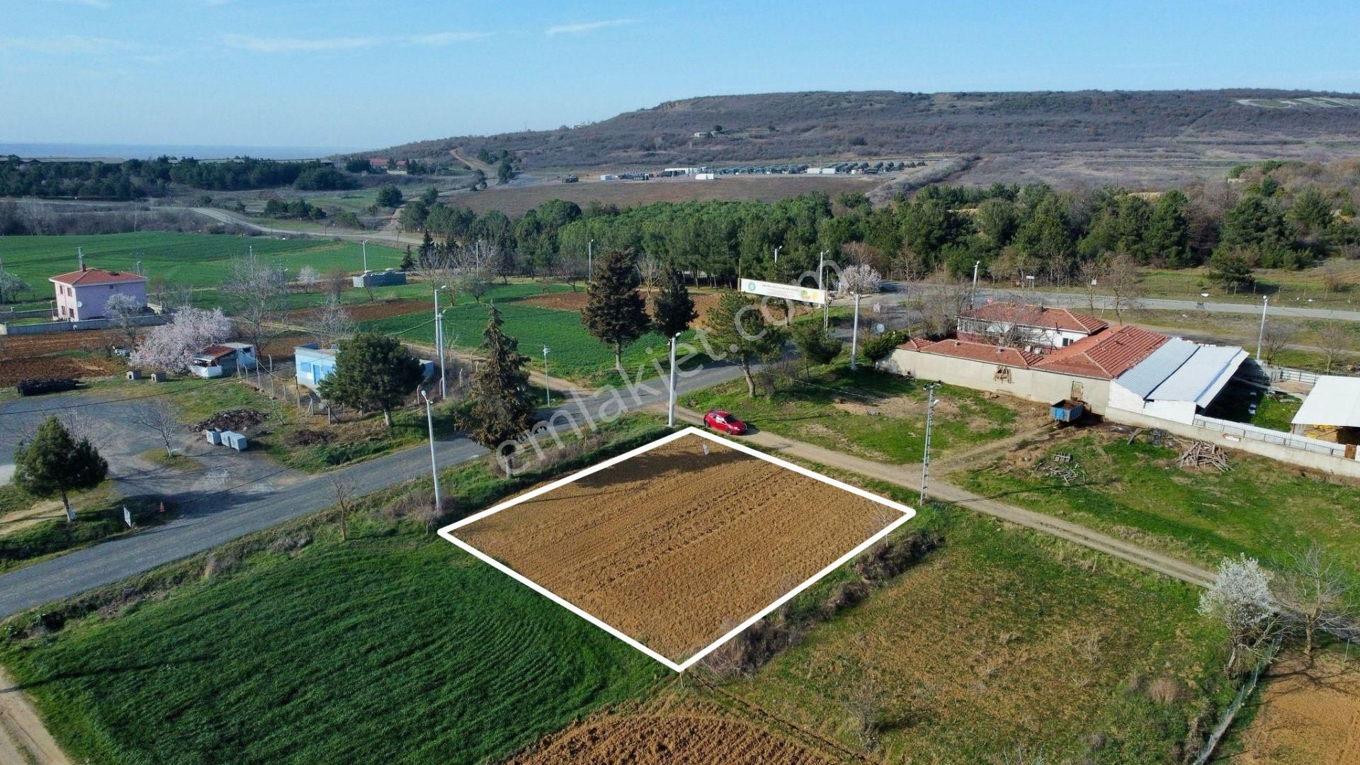 Tekirdağ Süleymanpaşa Ferhadanlı'da Yola Cepheli 600 M² Arsa - Görsel 17