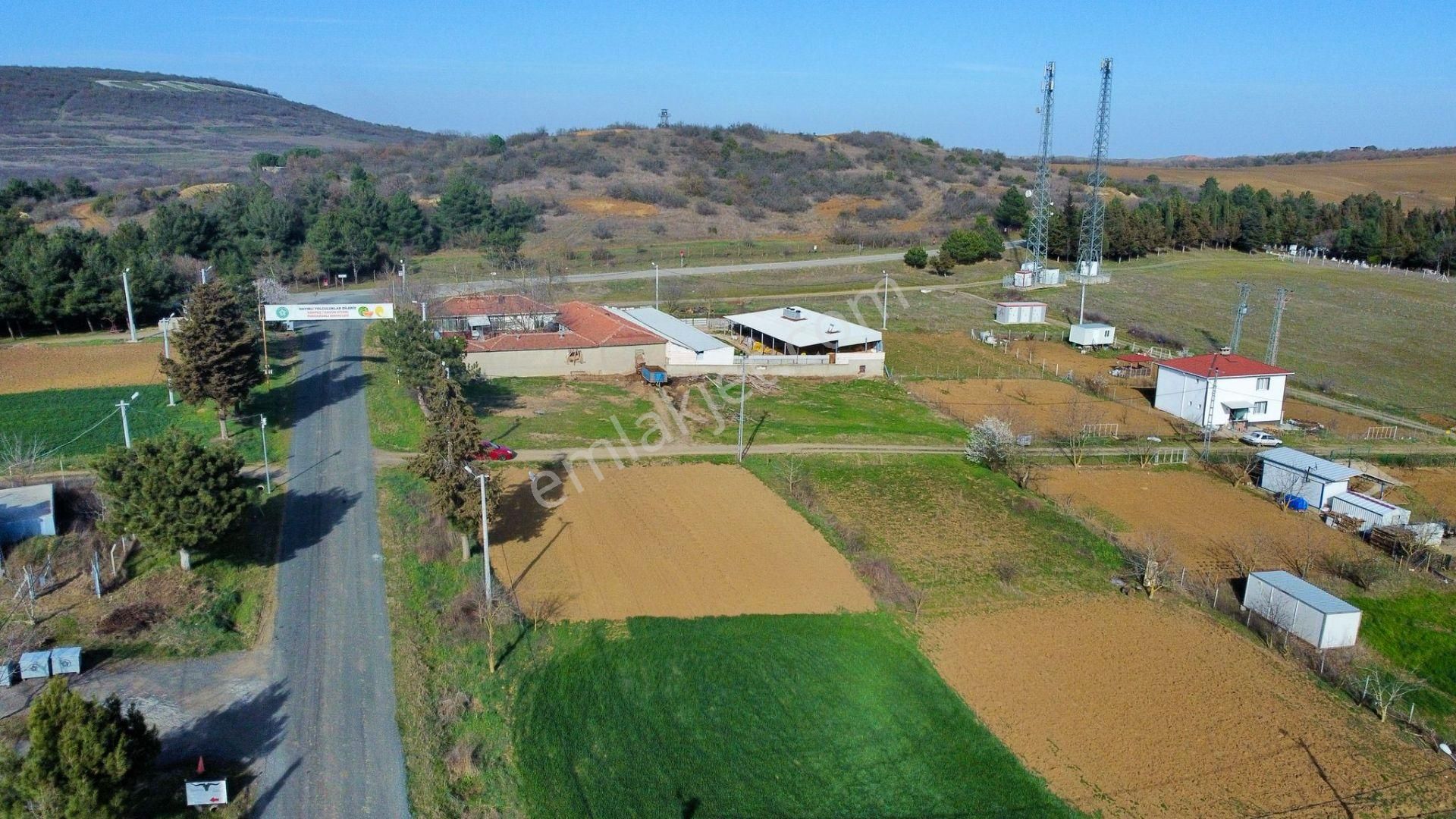 Tekirdağ Süleymanpaşa Ferhadanlı'da Yola Cepheli 600 M² Arsa - Görsel 13