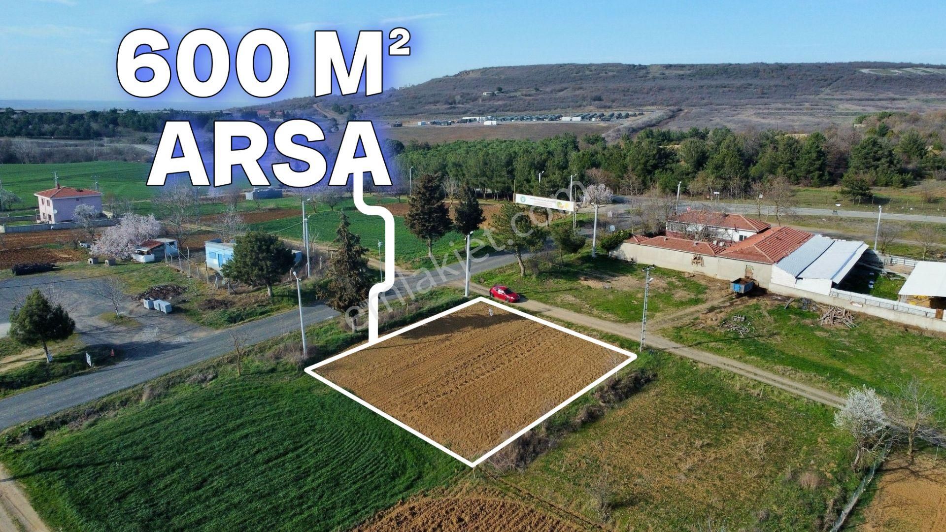 Tekirdağ Süleymanpaşa Ferhadanlı'da Yola Cepheli 600 M² Arsa - Görsel 2