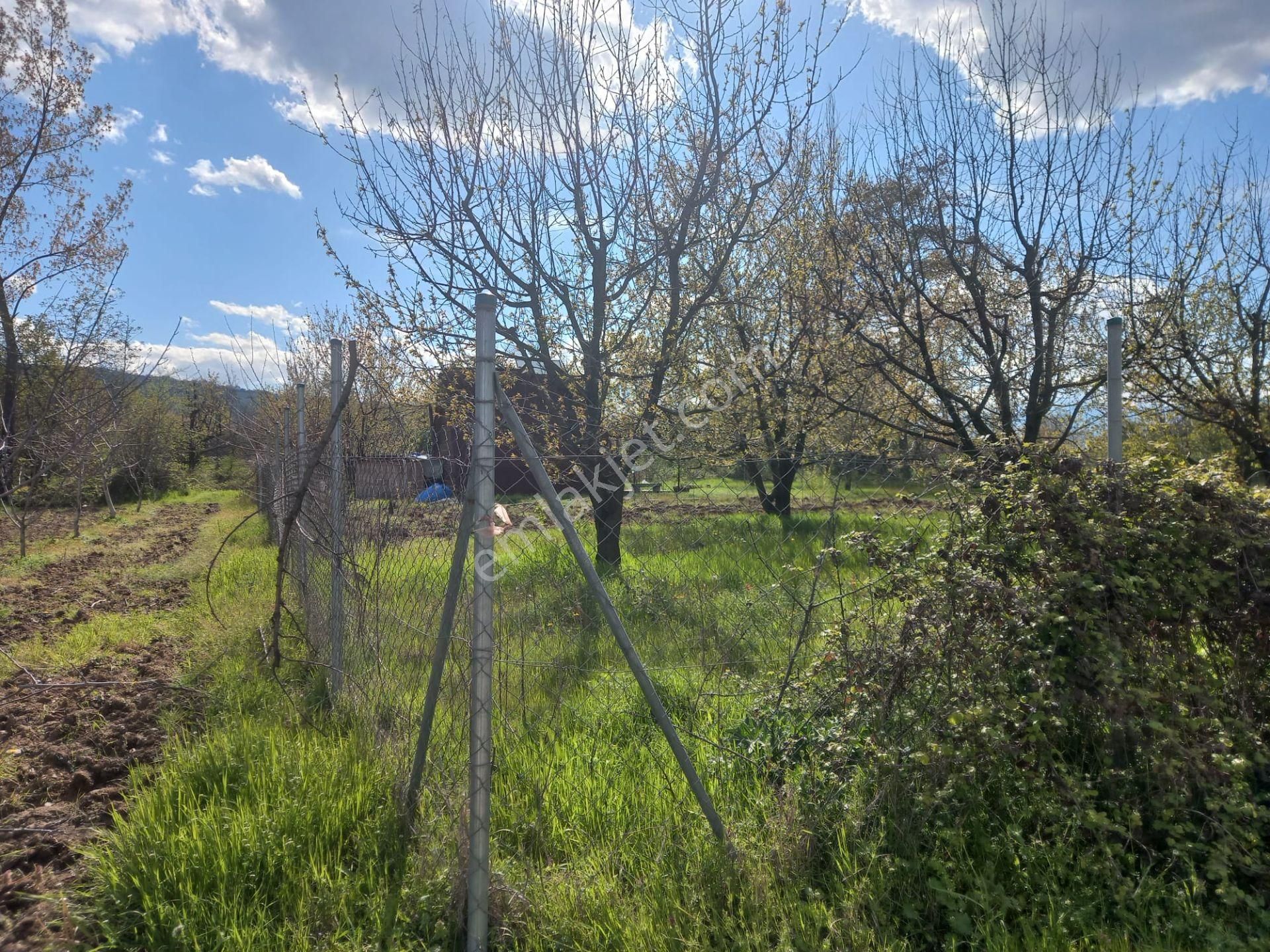Roma' Dan Çitli' De Bağ Evi Olan Satılık Tarla - Görsel 7