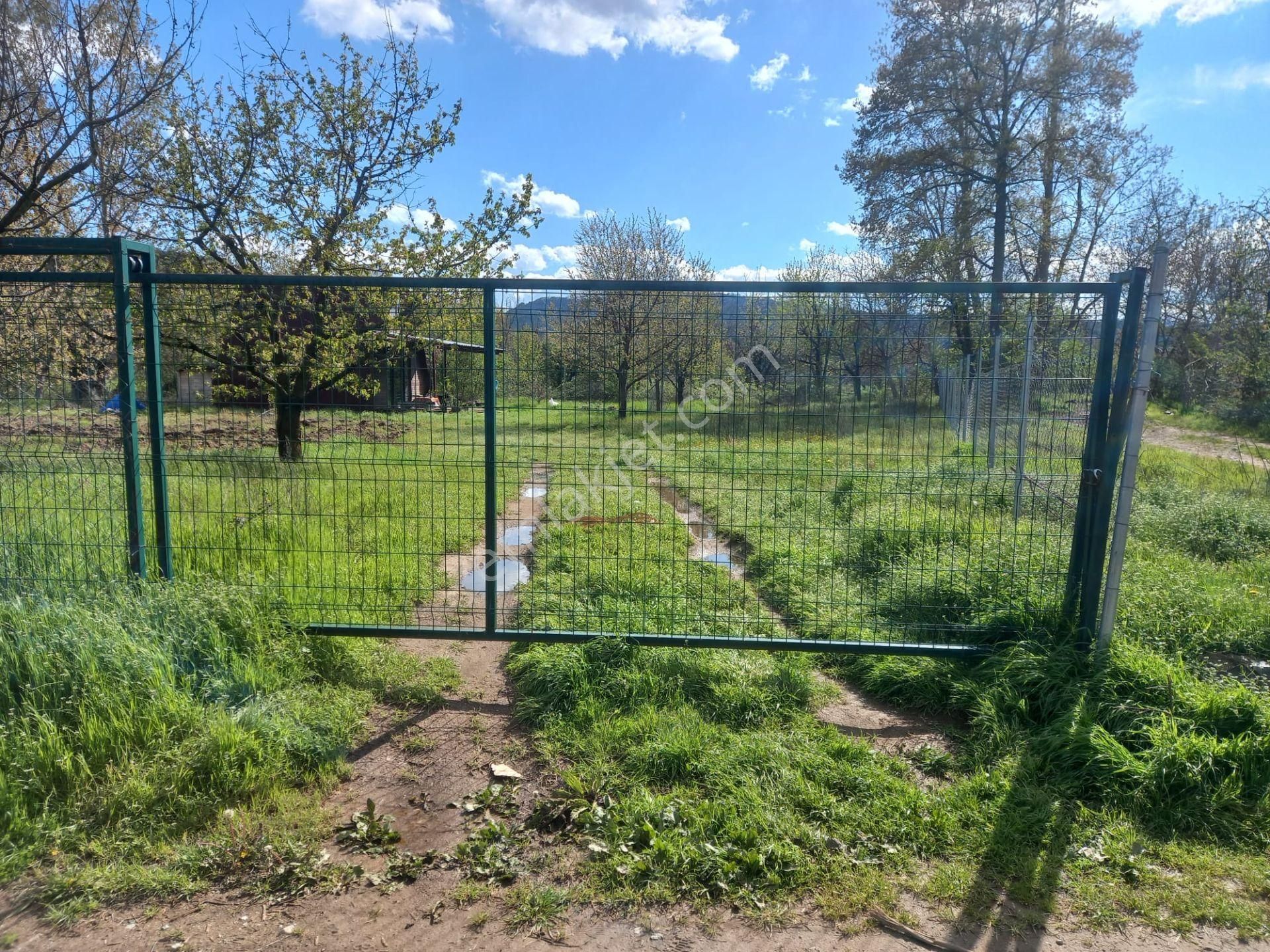 Roma' Dan Çitli' De Bağ Evi Olan Satılık Tarla - Görsel 10