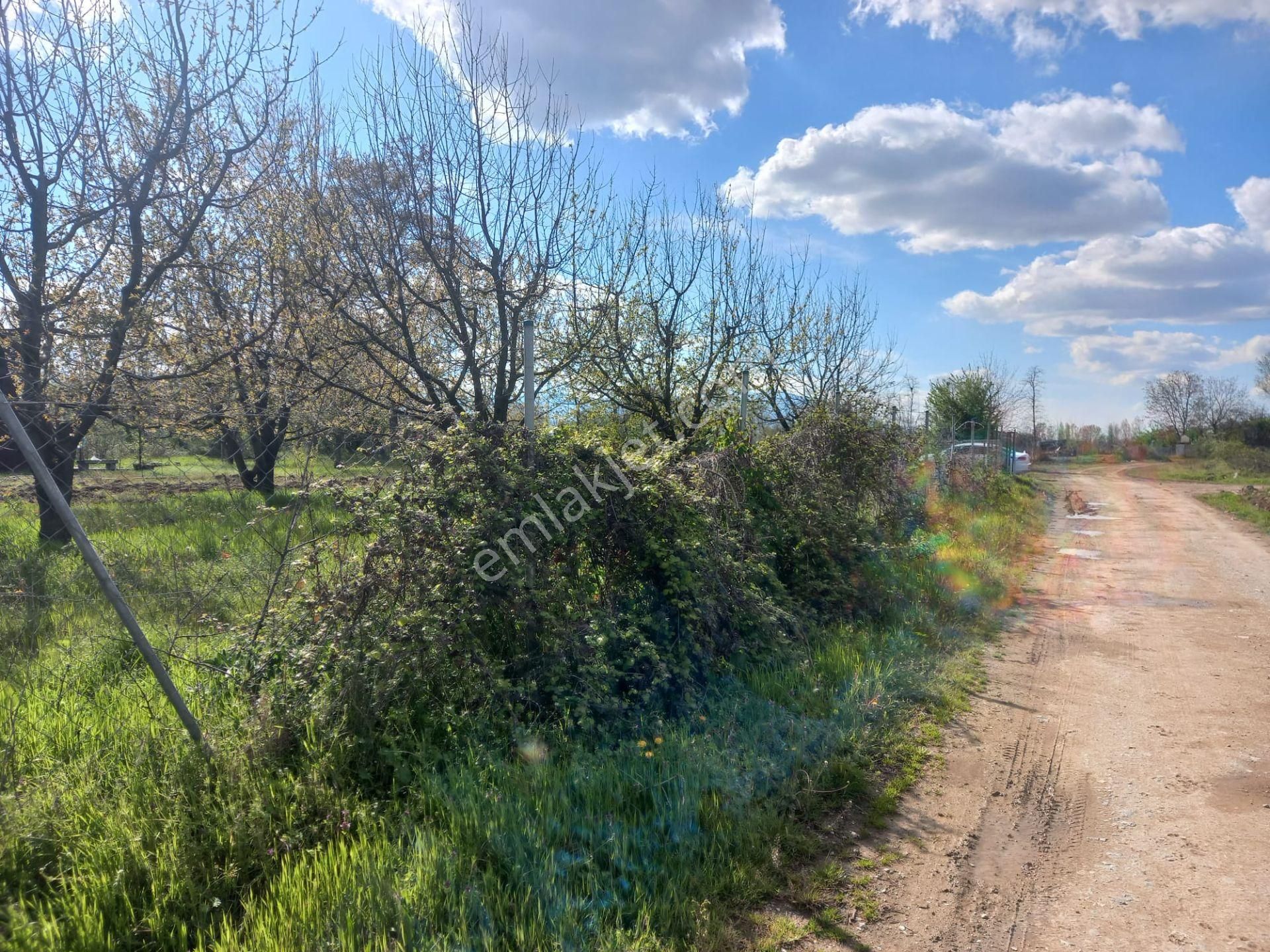 Roma' Dan Çitli' De Bağ Evi Olan Satılık Tarla - Görsel 17