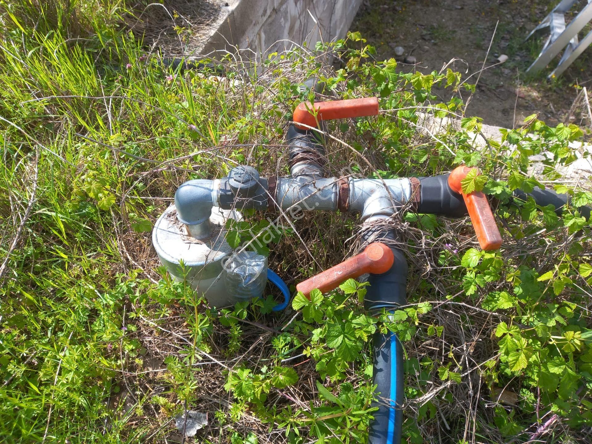 Roma' Dan Çitli' De Bağ Evi Olan Satılık Tarla - Görsel 9