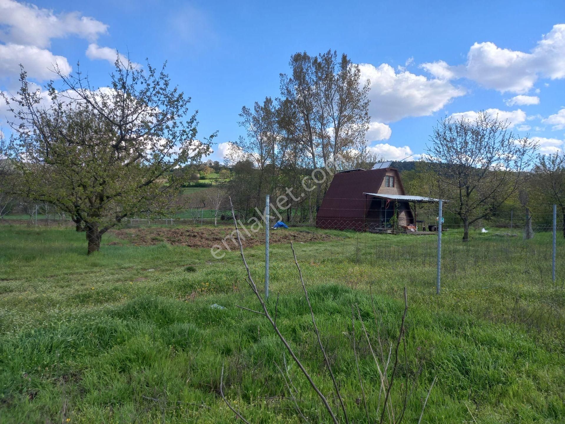 Roma' Dan Çitli' De Bağ Evi Olan Satılık Tarla - Görsel 2