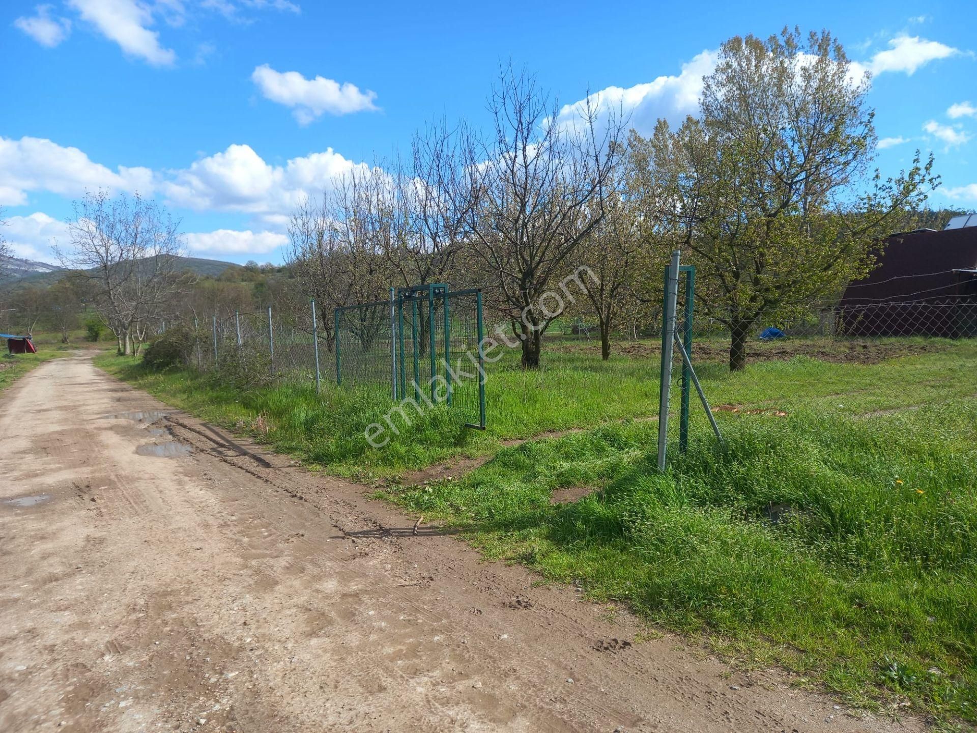 Roma' Dan Çitli' De Bağ Evi Olan Satılık Tarla - Görsel 8