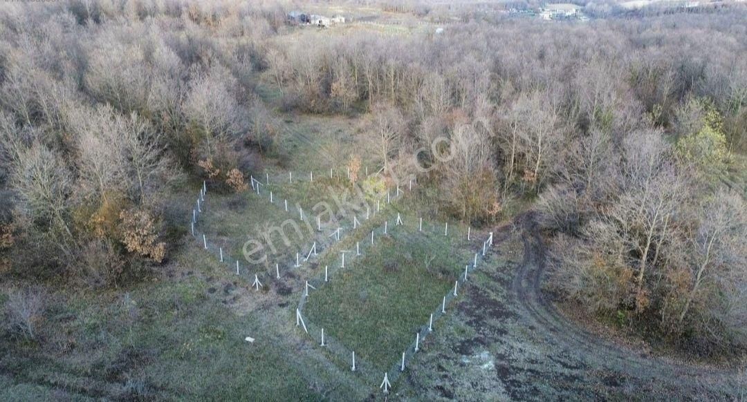 Çatalca Binkılıç 52 Vilaların Yanında 367m Yatırımlık Süper Arsa - Görsel 3