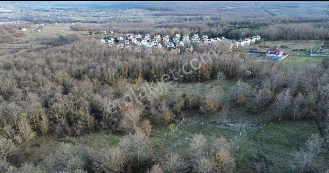Çatalca Binkılıç 52 Vilaların Yanında 367m Yatırımlık Süper Arsa - Görsel 2