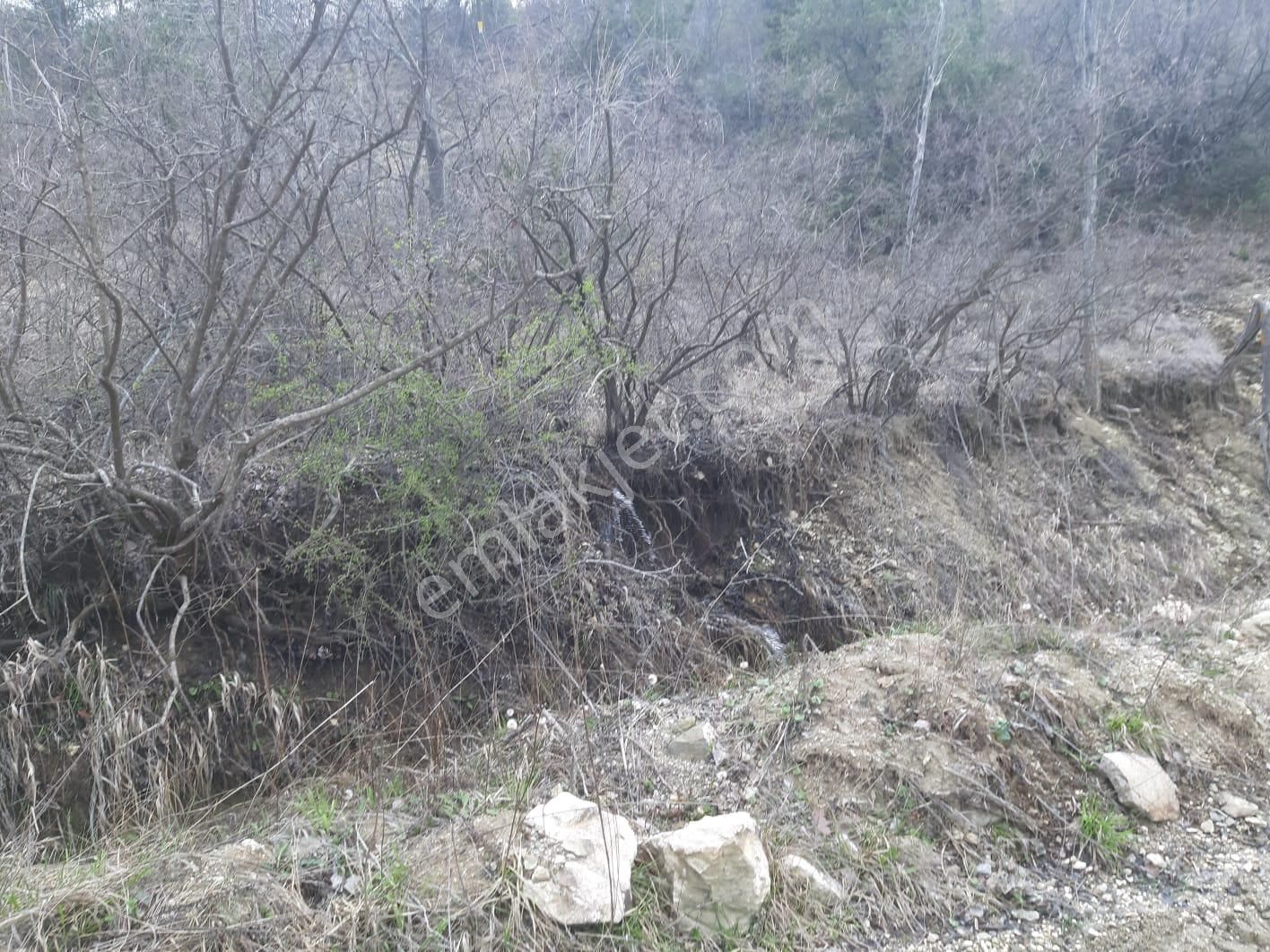 Asya Evim Emlaktan Ağlasun Yeşilbaşköy De Satılık Tarla - Görsel 9