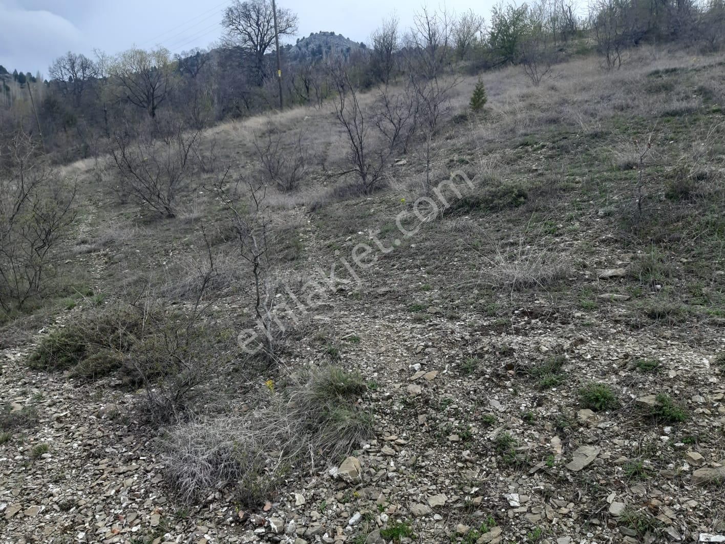 Asya Evim Emlaktan Ağlasun Yeşilbaşköy De Satılık Tarla - Görsel 3