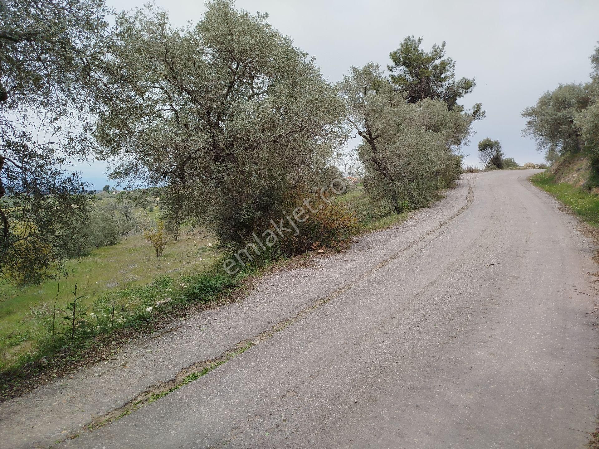 Buca Doğancılar 5750 Mk Mirastan İse İçinde 2+1 65mk Var - Görsel 21