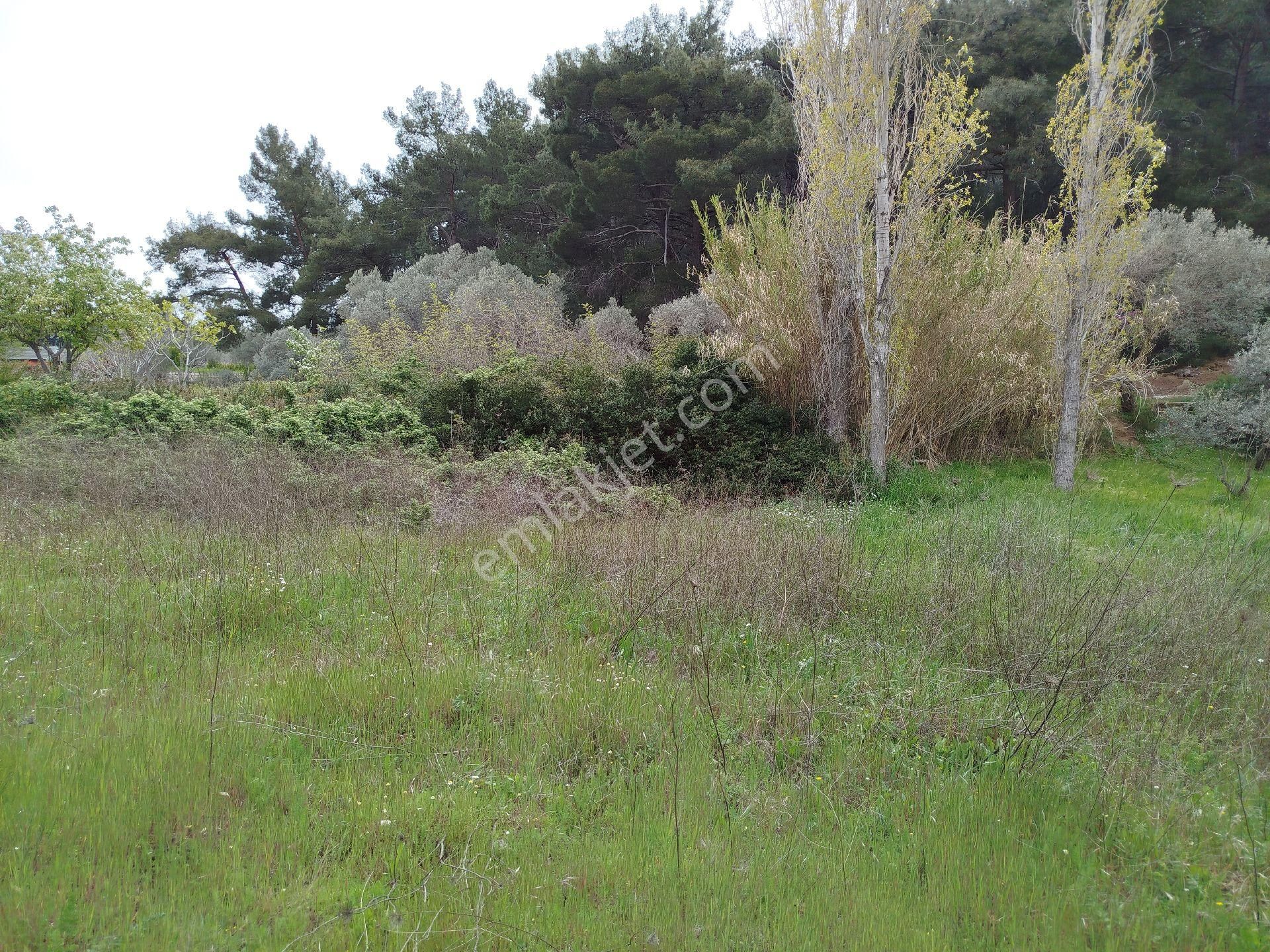 Buca Doğancılar 5750 Mk Mirastan İse İçinde 2+1 65mk Var - Görsel 17