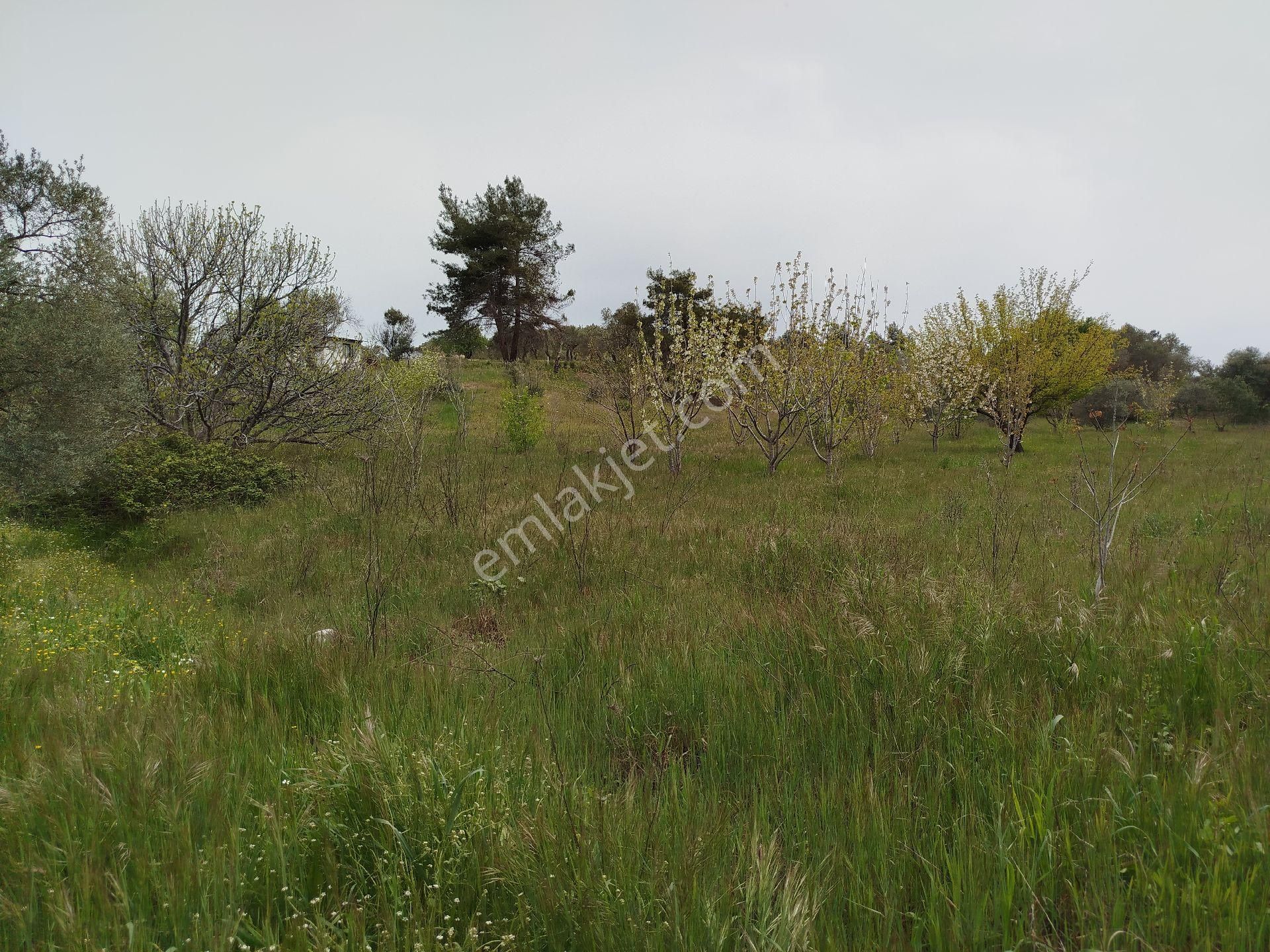 Buca Doğancılar 5750 Mk Mirastan İse İçinde 2+1 65mk Var - Görsel 14