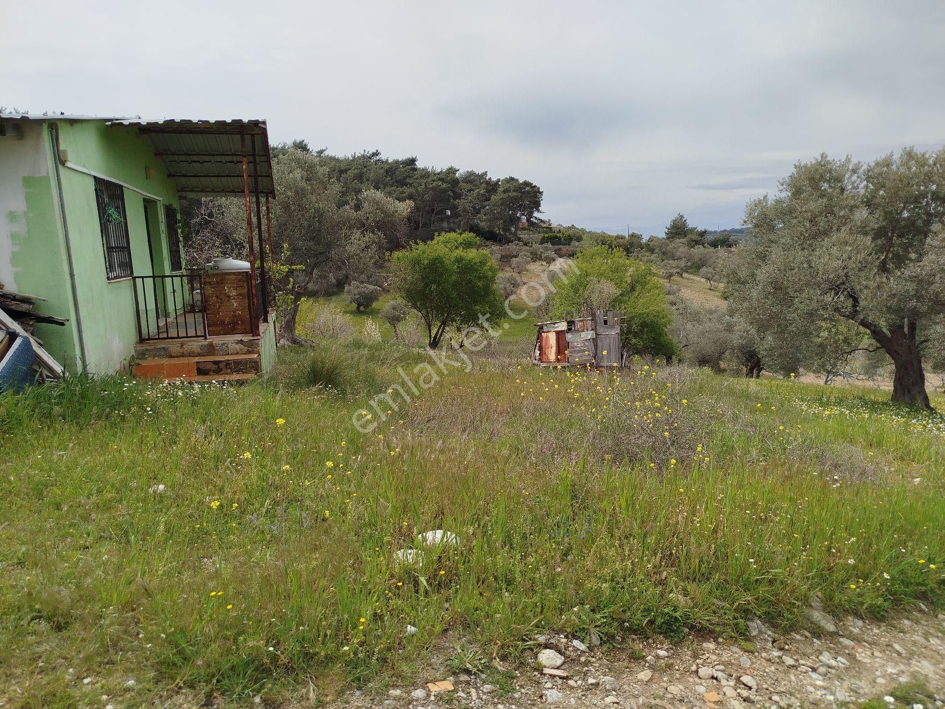 Buca Doğancılar 5750 Mk Mirastan İse İçinde 2+1 65mk Var - Görsel 7