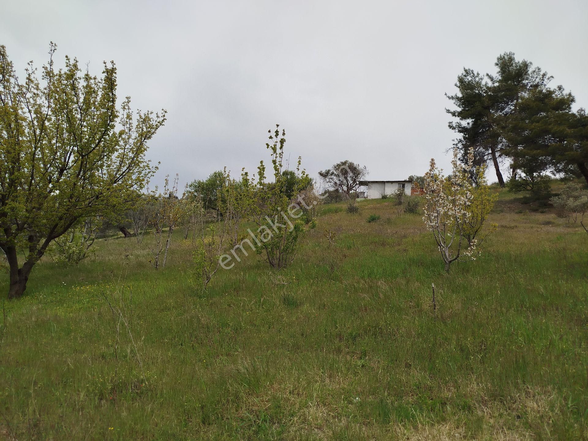 Buca Doğancılar 5750 Mk Mirastan İse İçinde 2+1 65mk Var - Görsel 16