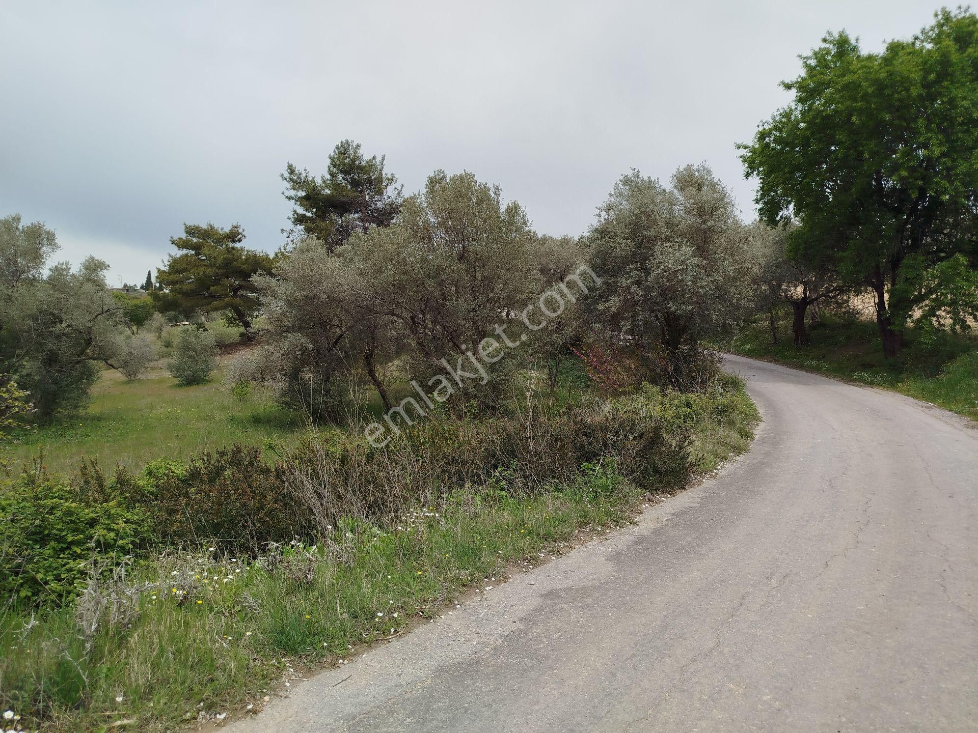 Buca Doğancılar 5750 Mk Mirastan İse İçinde 2+1 65mk Var - Görsel 20