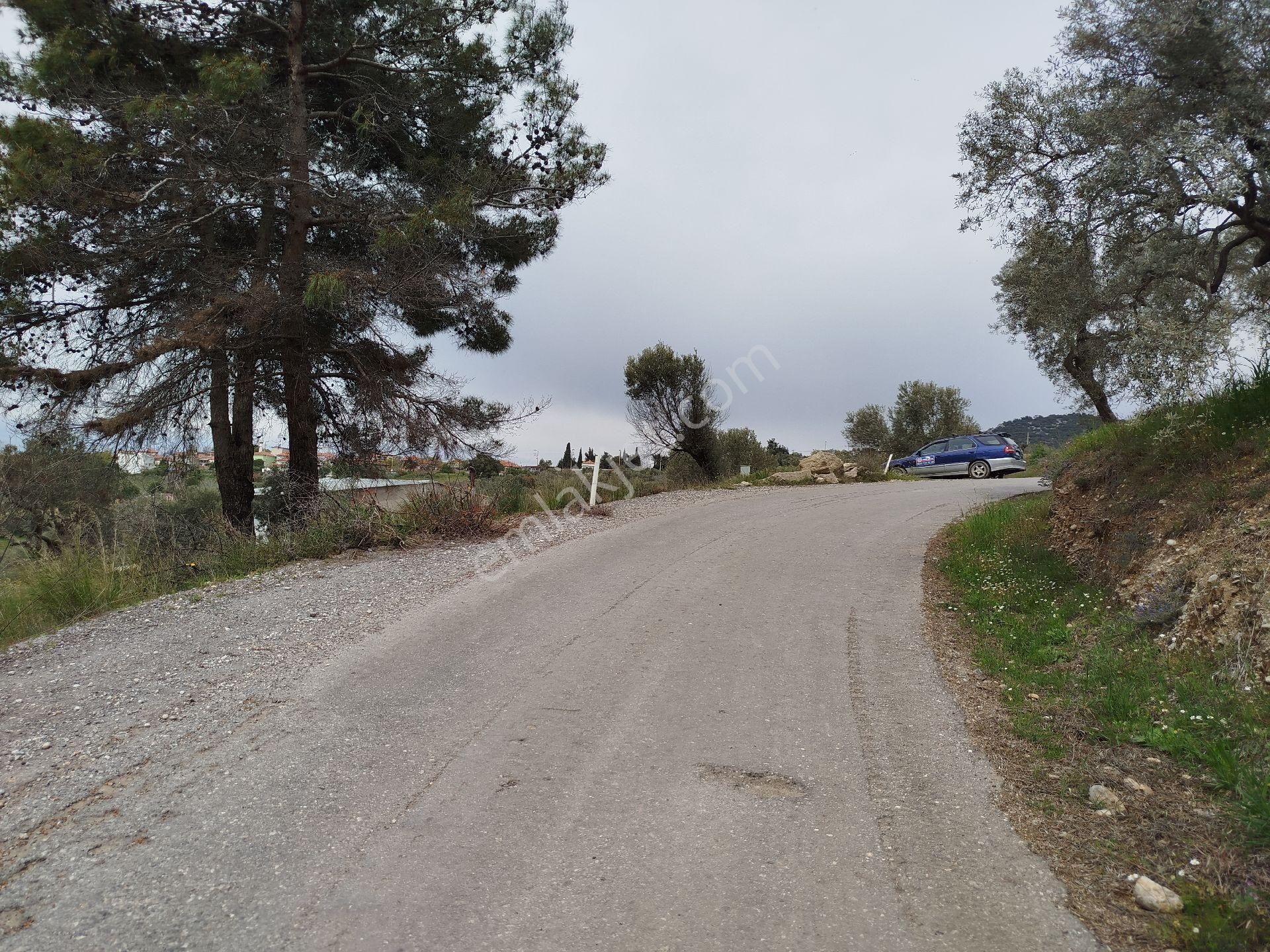 Buca Doğancılar 5750 Mk Mirastan İse İçinde 2+1 65mk Var - Görsel 22