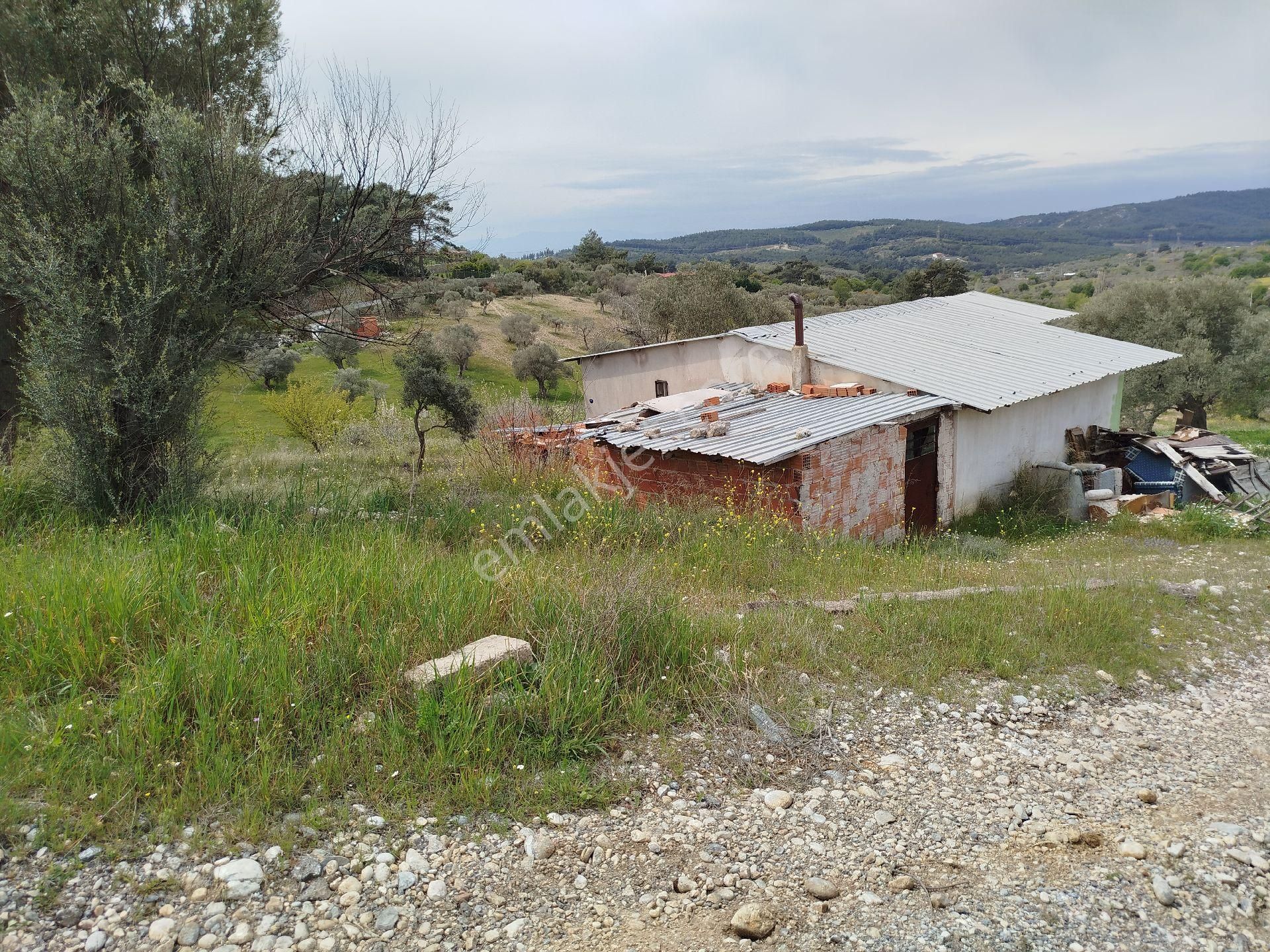 Buca Doğancılar 5750 Mk Mirastan İse İçinde 2+1 65mk Var - Görsel 6