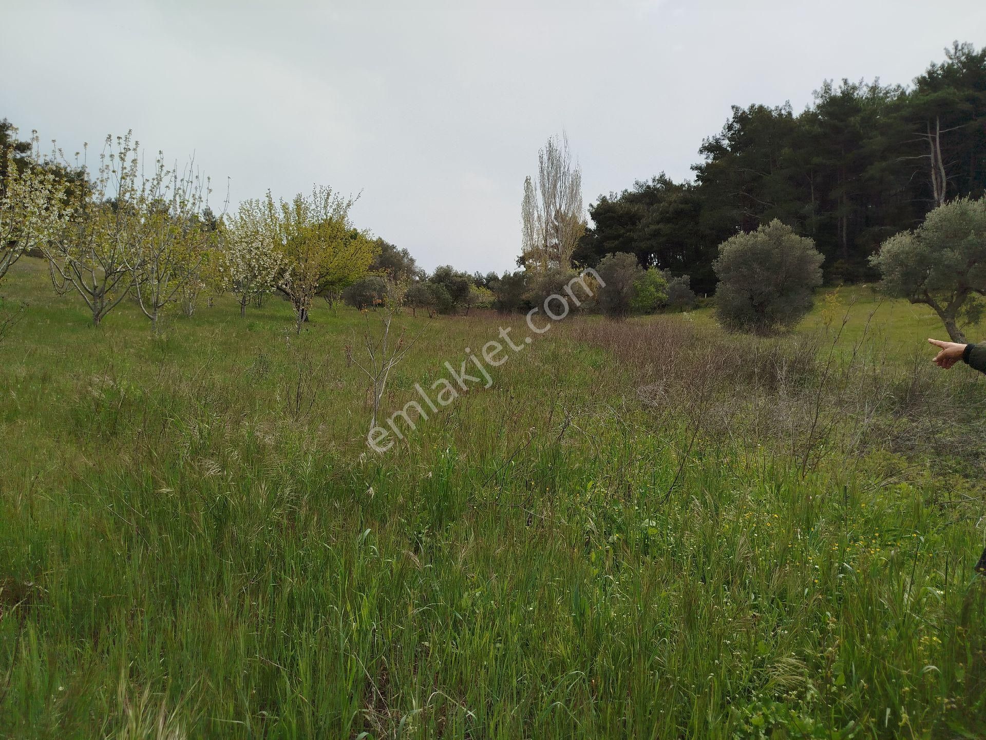 Buca Doğancılar 5750 Mk Mirastan İse İçinde 2+1 65mk Var - Görsel 13