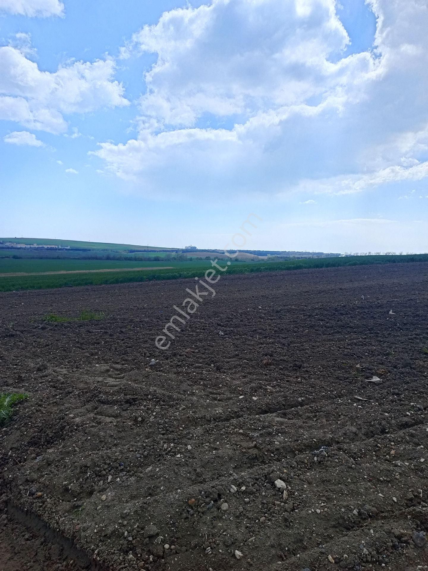 Satılık Tarla Müstakil Tapulu Kınalı Gişelerine 3 Kilometre Marmara Cezaevine 1 Kilometre - Görsel 7