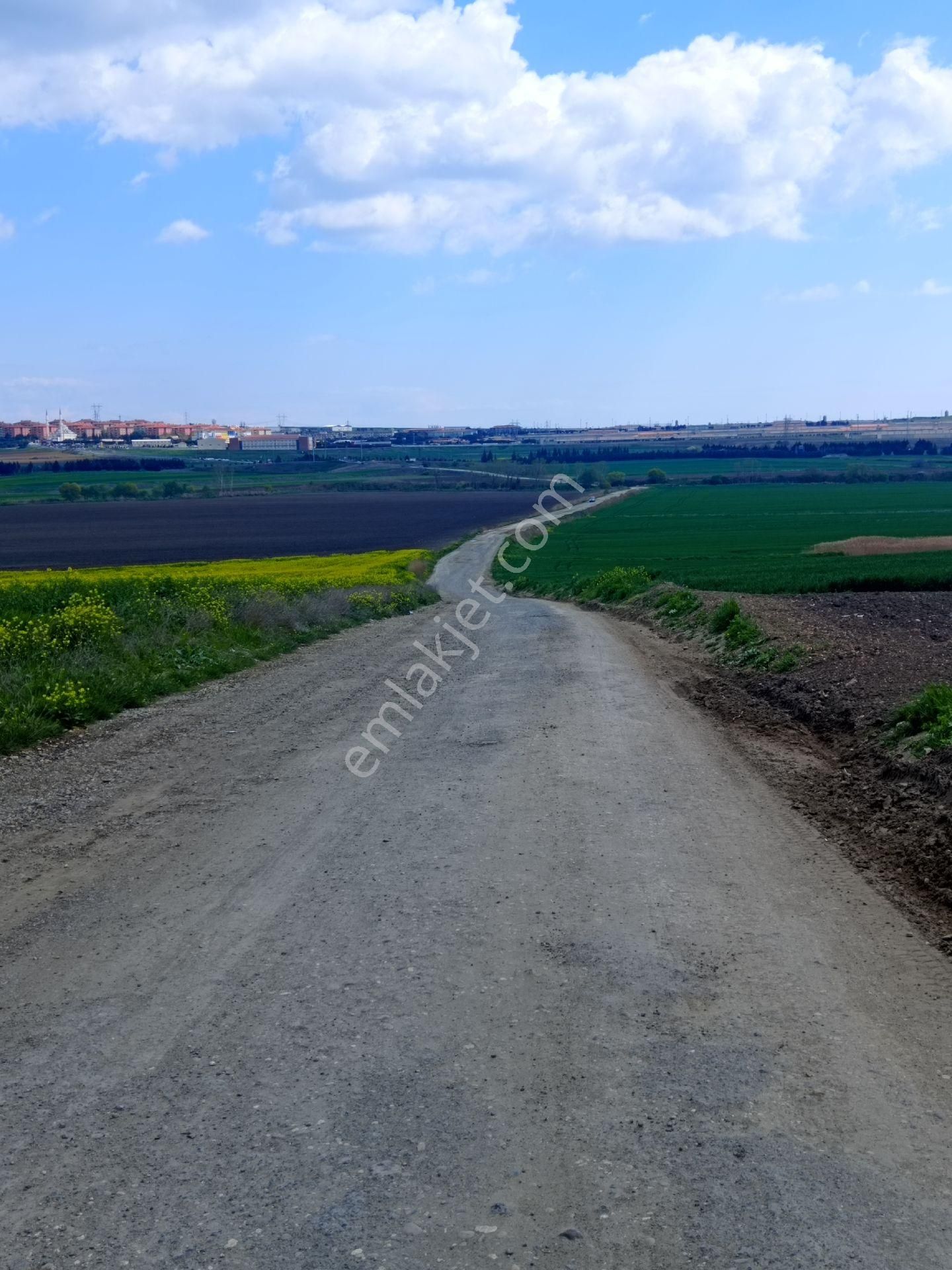 Satılık Tarla Müstakil Tapulu Kınalı Gişelerine 3 Kilometre Marmara Cezaevine 1 Kilometre - Görsel 13