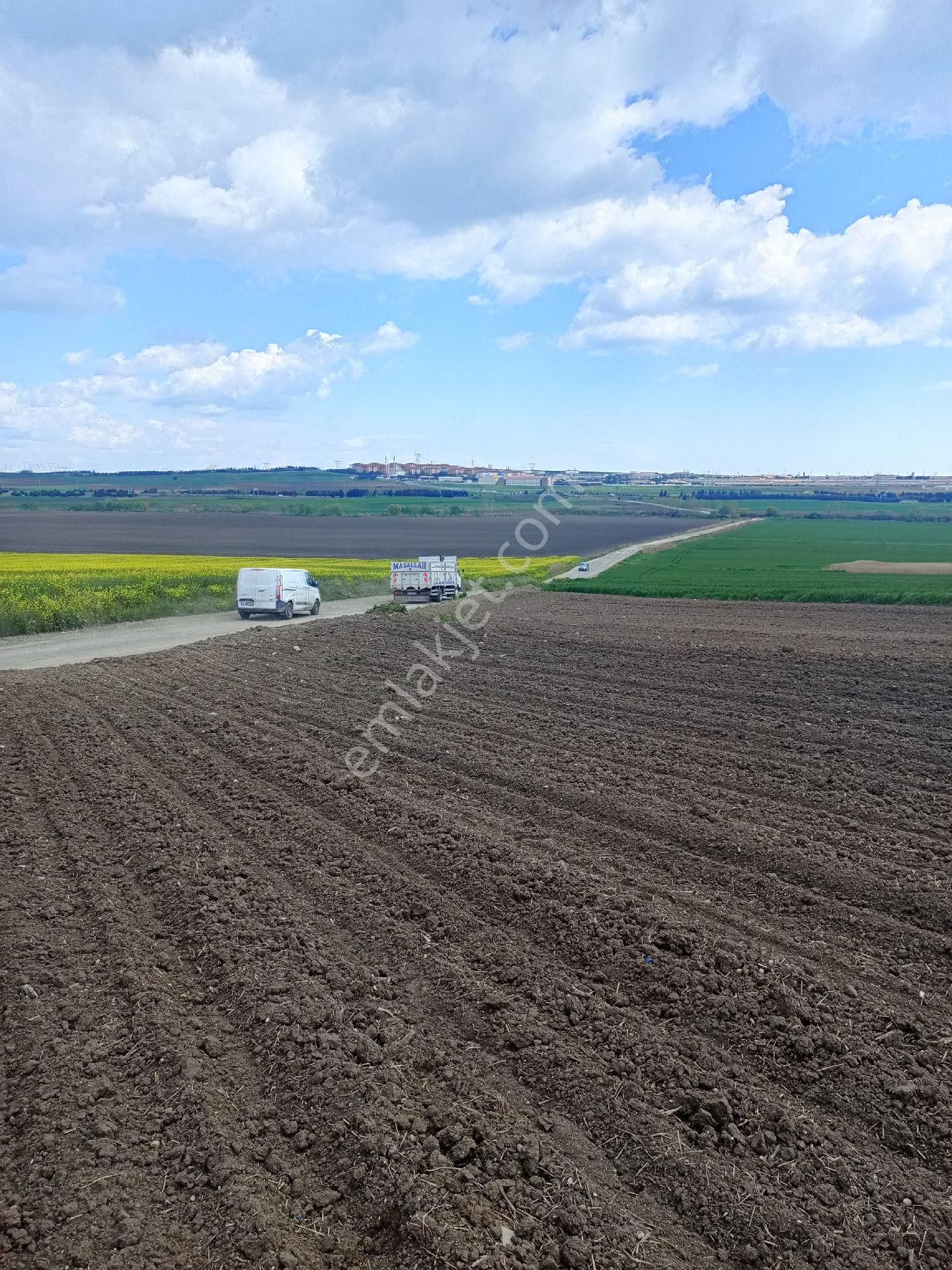 Satılık Tarla Müstakil Tapulu Kınalı Gişelerine 3 Kilometre Marmara Cezaevine 1 Kilometre - Görsel 3
