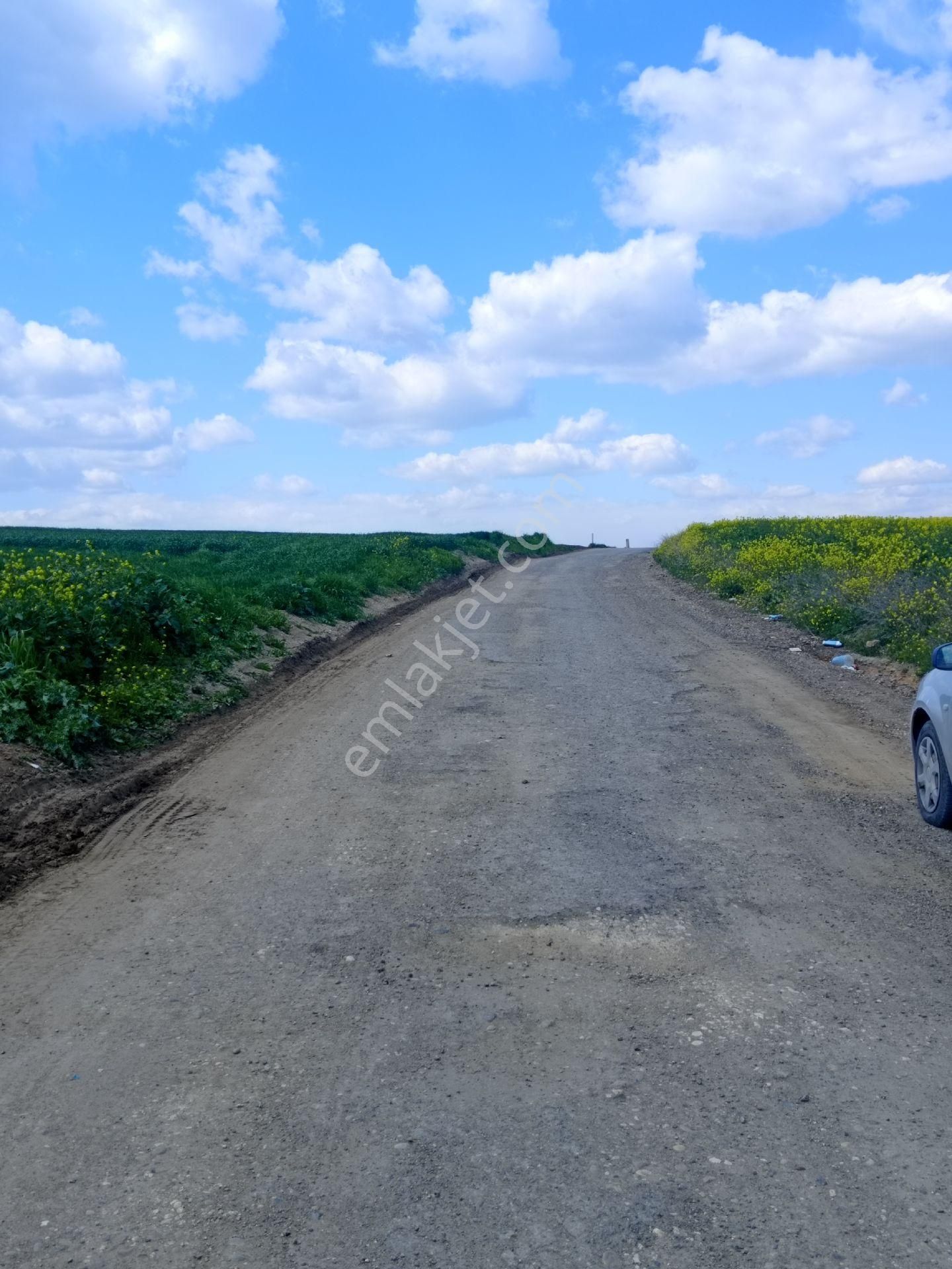Satılık Tarla Müstakil Tapulu Kınalı Gişelerine 3 Kilometre Marmara Cezaevine 1 Kilometre - Görsel 14