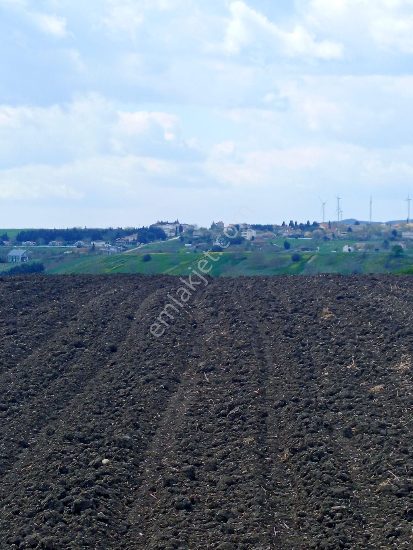 Satılık Tarla Müstakil Tapulu Kınalı Gişelerine 3 Kilometre Marmara Cezaevine 1 Kilometre - Görsel 2