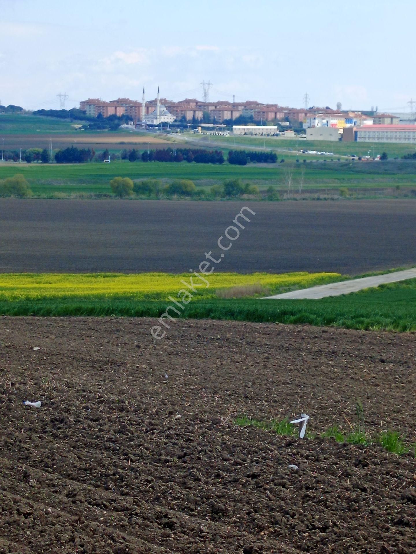 Satılık Tarla Müstakil Tapulu Kınalı Gişelerine 3 Kilometre Marmara Cezaevine 1 Kilometre - Görsel 6
