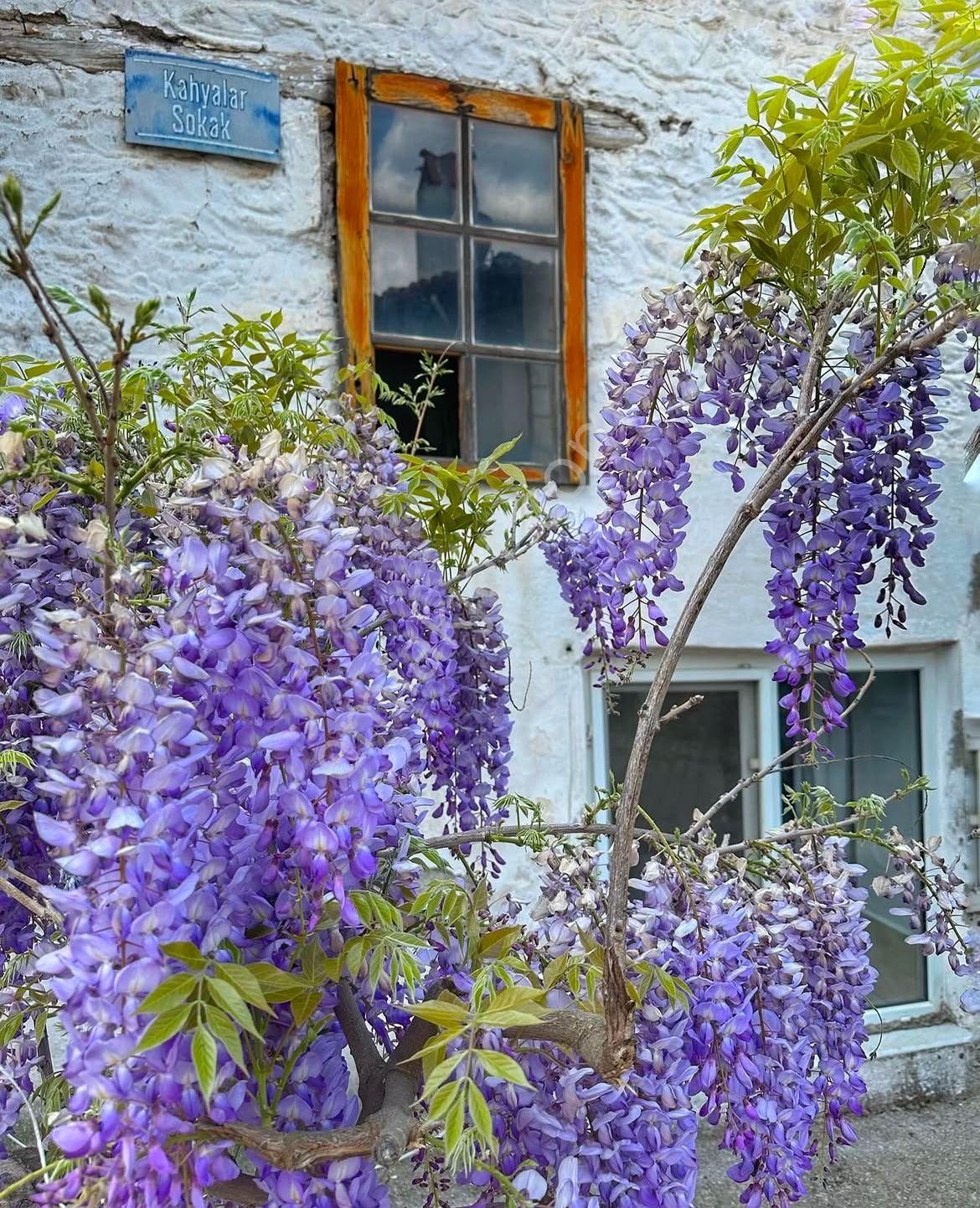 Muğla Menteşe Yeşilyurt Mah. Satılık İmarlı Arsa - Görsel 7