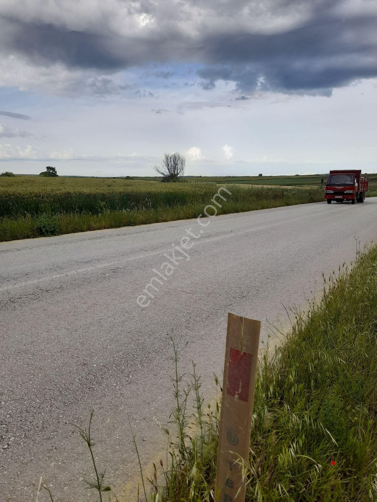 Tekirdağ Saray Yuvası Köyü Alsfata Cepe 4324 M2 Tarla - Görsel 5