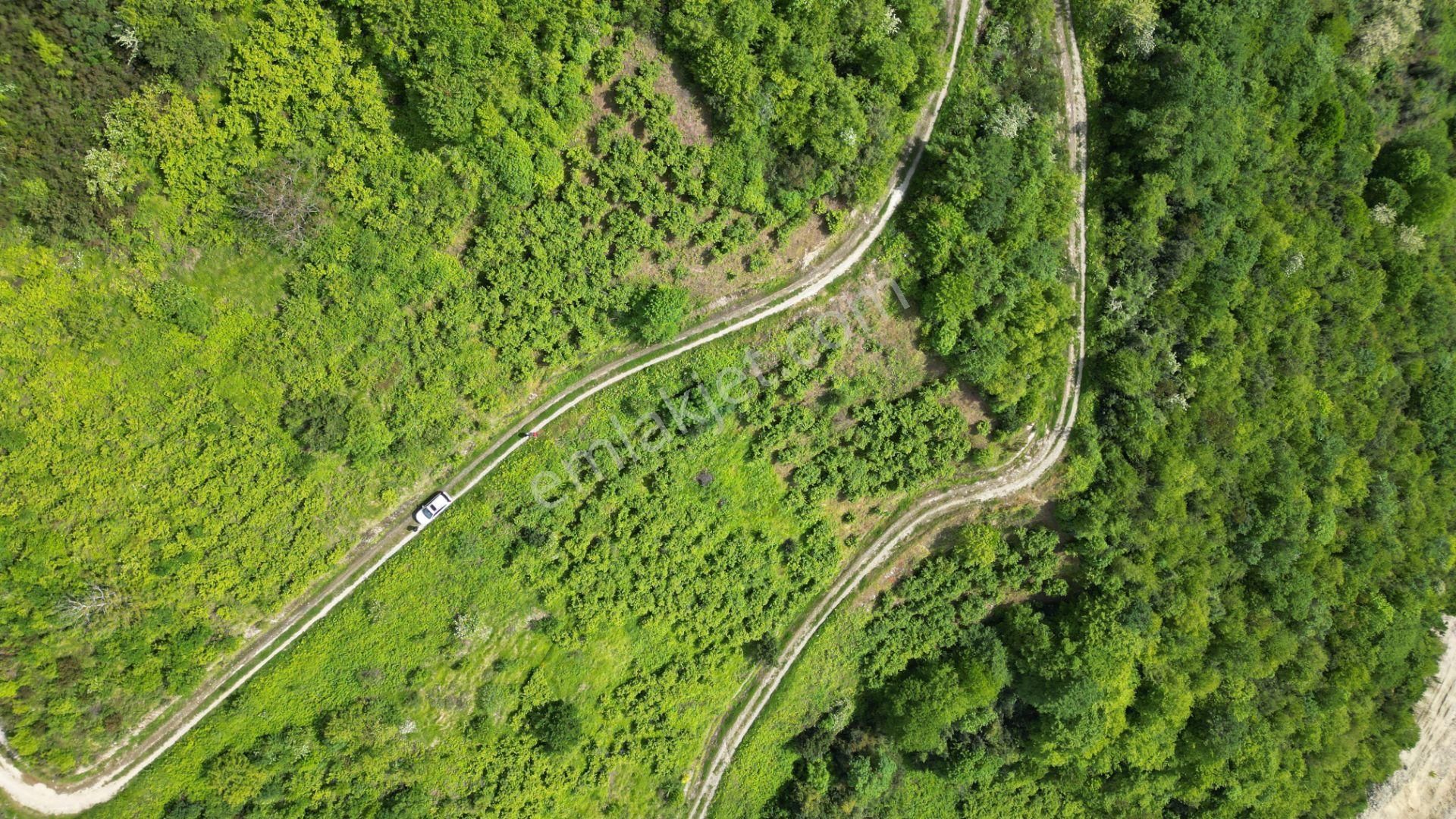 Üç Dönüm Fiyatına 23 Dönüm Bungalov İçin Mükemmel Arazi