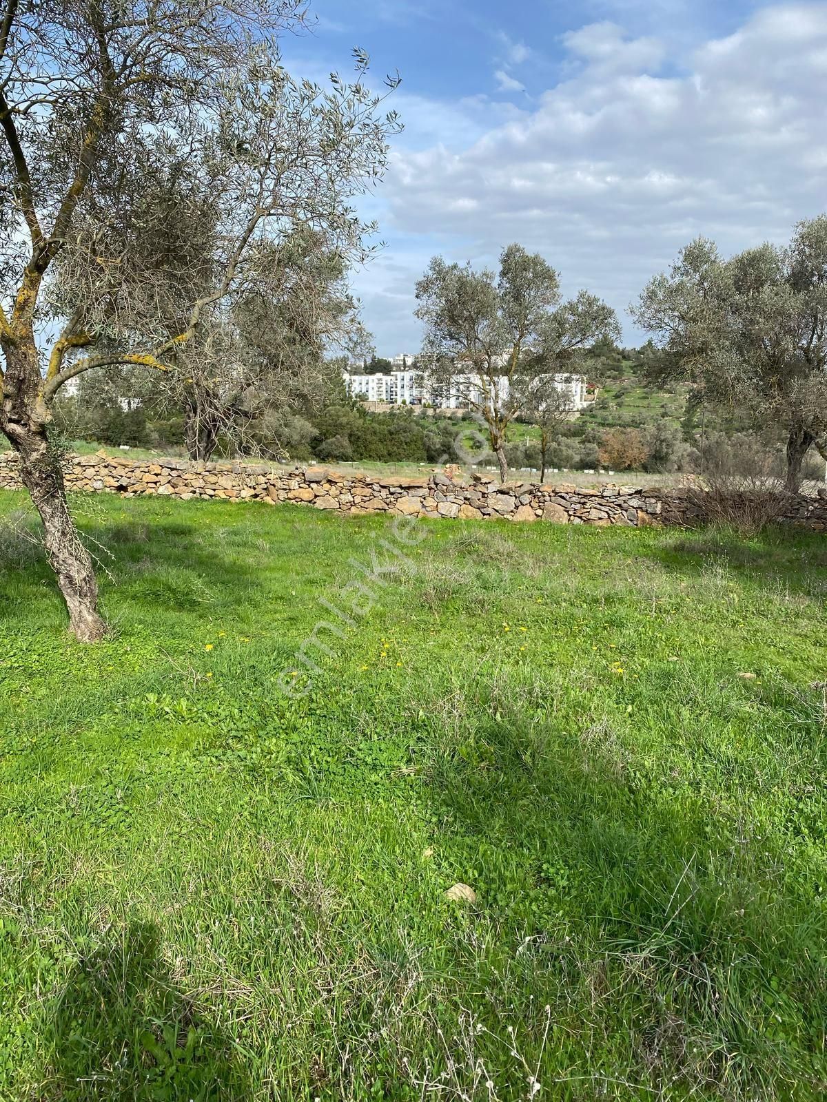 Bodrum Yalıçiftlik Merkezi Konum 3.700 M2 Satılık Tarla