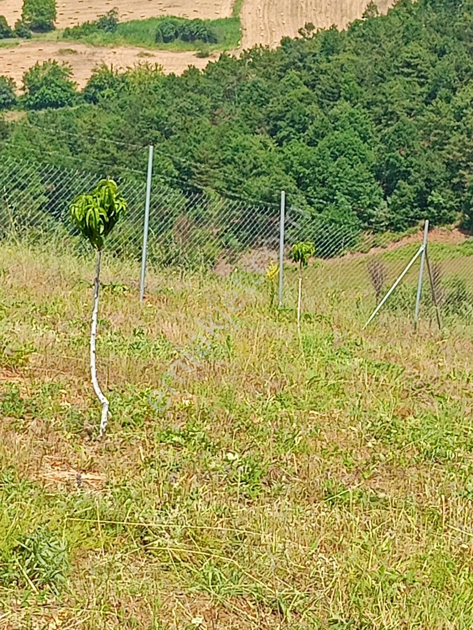 Bursa Kestel Ümitalanda Satılık 2550m2 Hisseli Hobibahçesi - Görsel 9