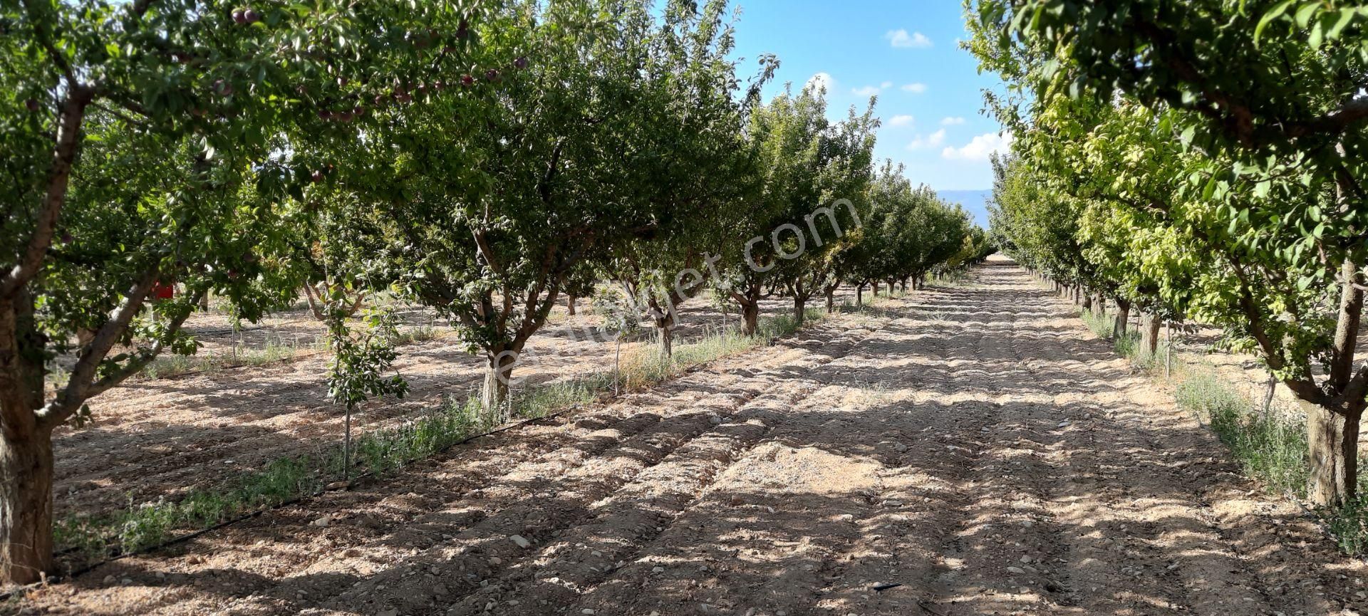 Sahibinden Bozova Yeni Çevre Yolu Üstünde Bahçe Vasıflı Arsa, İmara Yakın, Krediye Ve Takasa Açık.