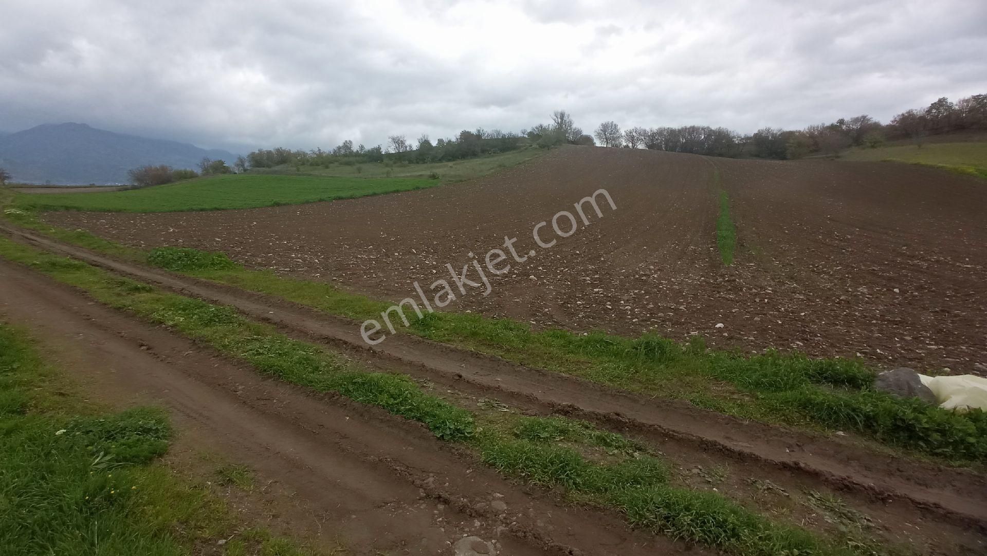Tokat Erbaa Karşıyaka Mah Satılık 4.112 M2 Arazi 2/1 - Görsel 8