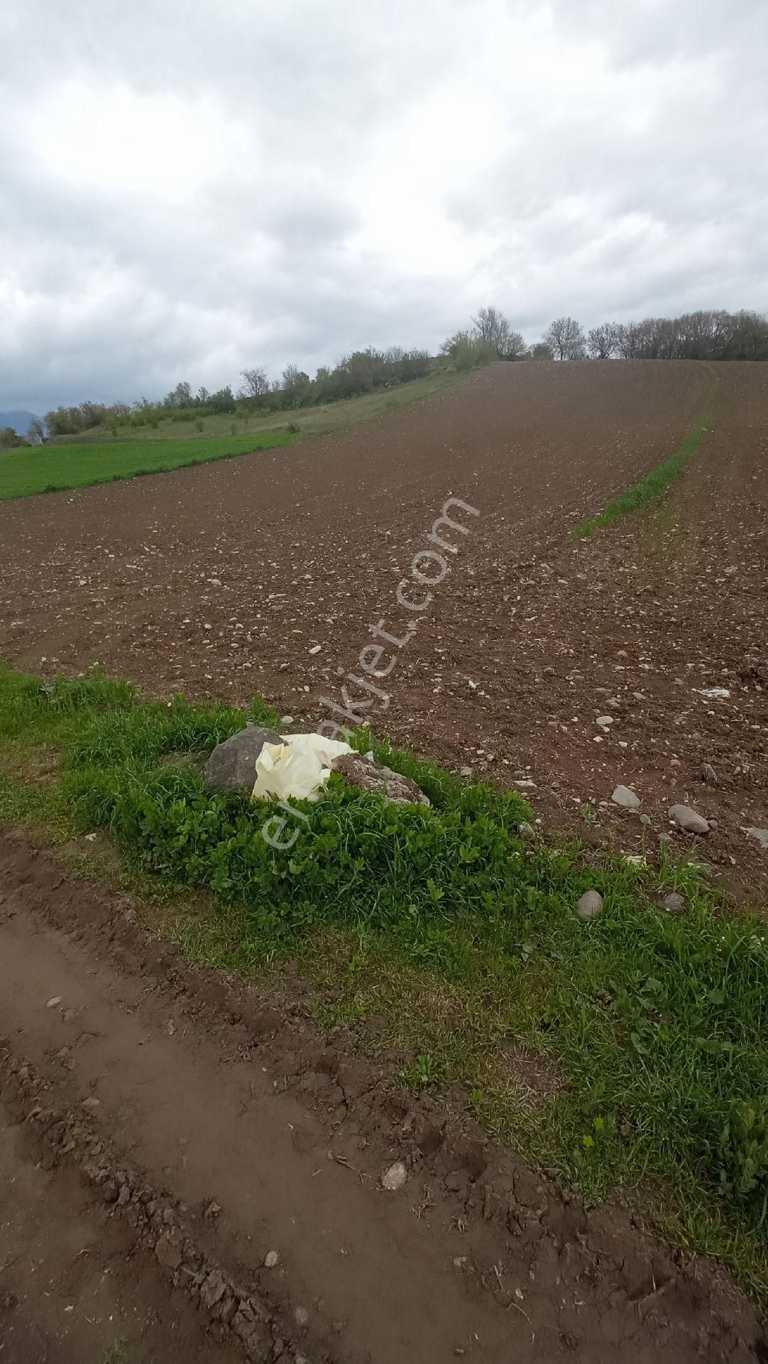 Tokat Erbaa Karşıyaka Mah Satılık 4.112 M2 Arazi 2/1 - Görsel 4
