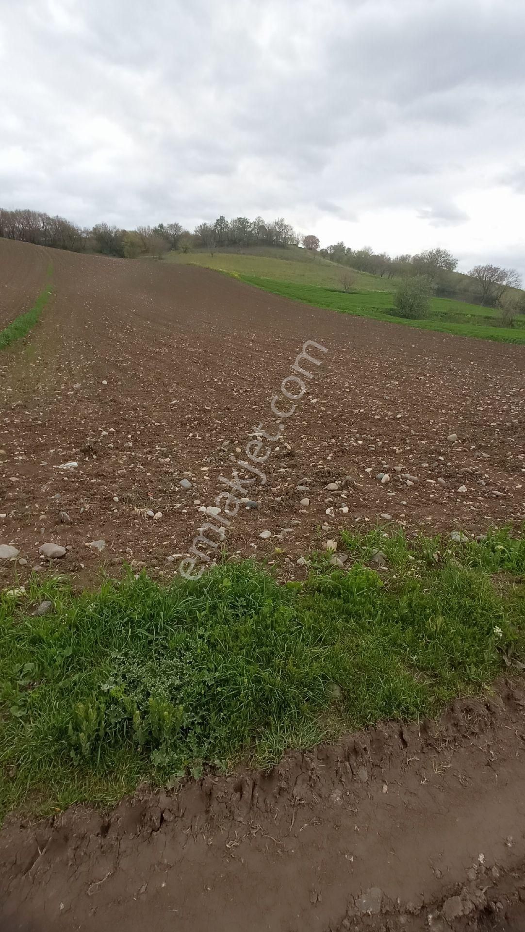 Tokat Erbaa Karşıyaka Mah Satılık 4.112 M2 Arazi 2/1 - Görsel 5