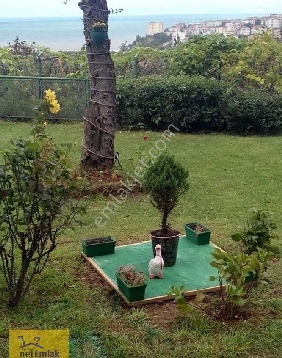 Kdz Ereğli Net Emlak Tan Şahane Konuma Sahip Akçakoca Da Site Daire - Görsel 11