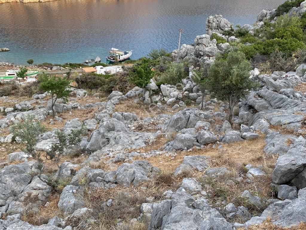 Ebrar&can'dan Gökçeburun Full Manzara 6217 Metrekare - Görsel 8