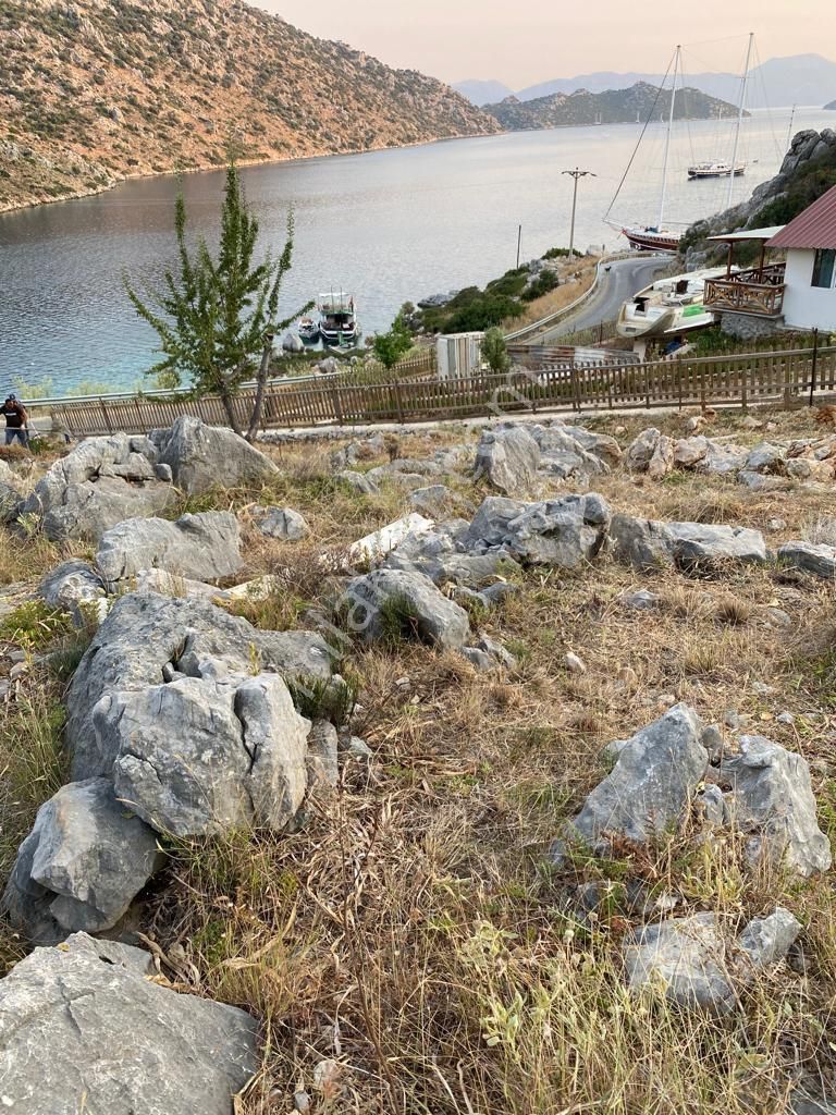 Ebrar&can'dan Gökçeburun Full Manzara 6217 Metrekare - Görsel 2