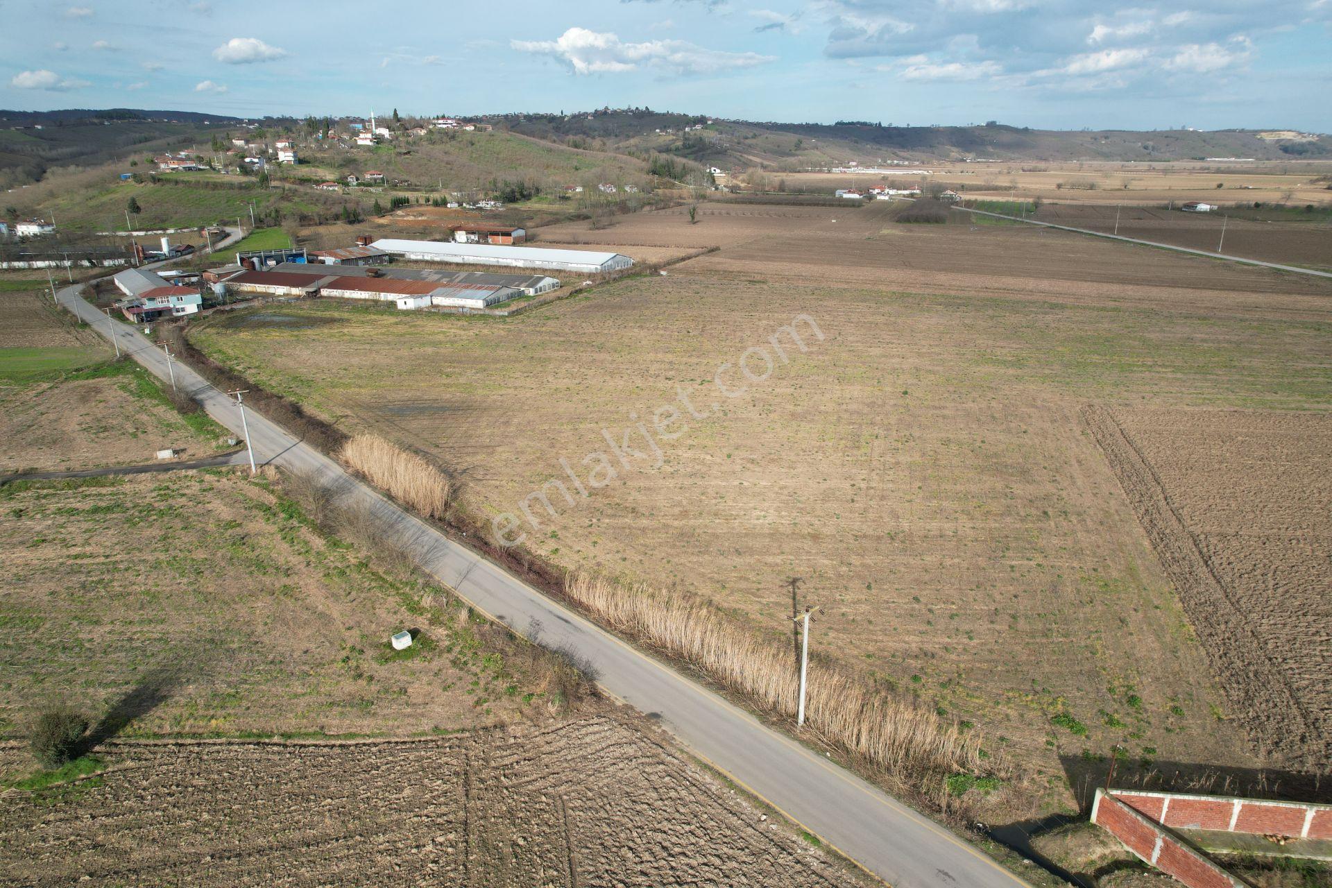 Asfalta Cepheli %40 Ticari + Konut İmarlı 7.373 M2 Mükemmel Konumda Arsa - Görsel 12