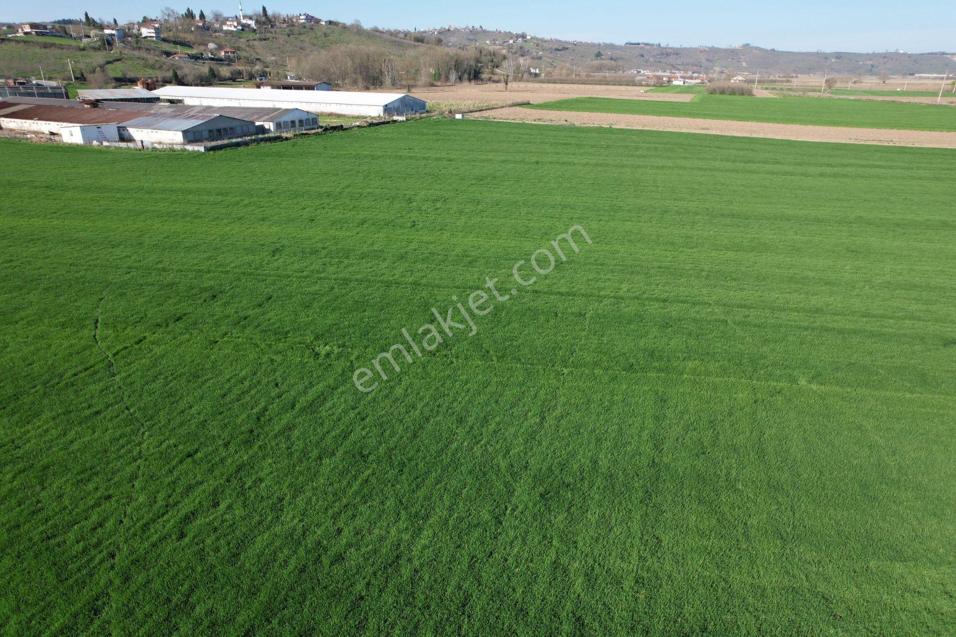 Asfalta Cepheli %40 Ticari + Konut İmarlı 7.373 M2 Mükemmel Konumda Arsa - Görsel 13