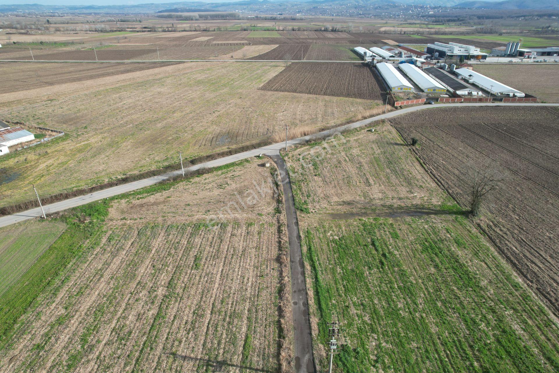 Asfalta Cepheli %40 Ticari + Konut İmarlı 7.373 M2 Mükemmel Konumda Arsa - Görsel 29