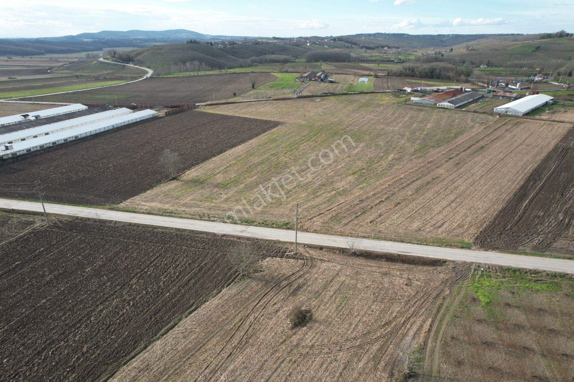 Asfalta Cepheli %40 Ticari + Konut İmarlı 7.373 M2 Mükemmel Konumda Arsa - Görsel 15