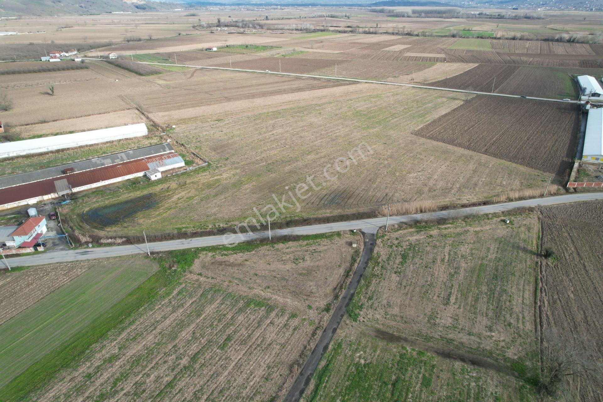 Asfalta Cepheli %40 Ticari + Konut İmarlı 7.373 M2 Mükemmel Konumda Arsa - Görsel 5