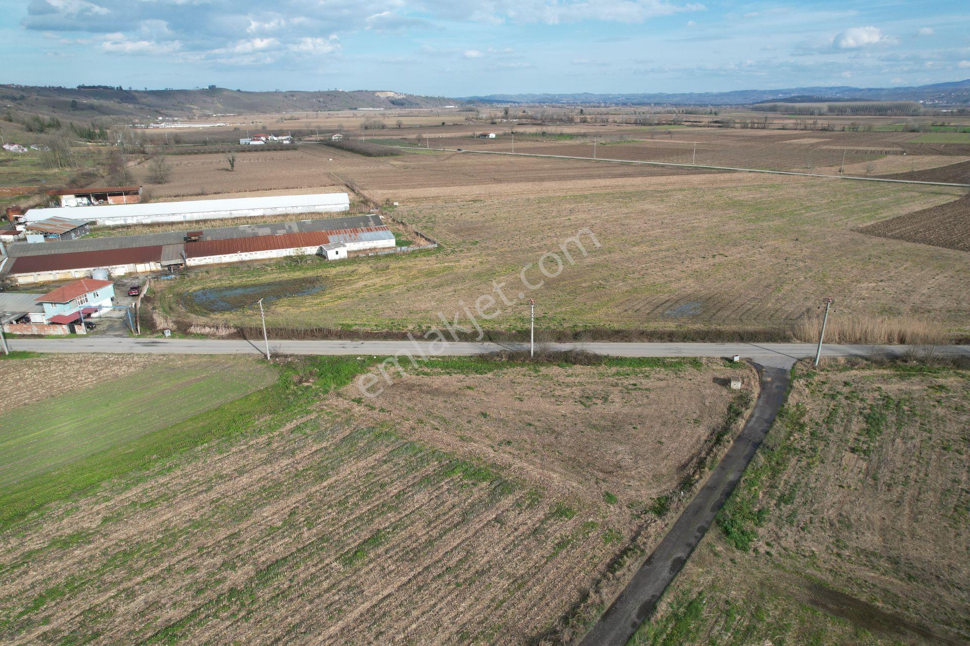 Asfalta Cepheli %40 Ticari + Konut İmarlı 7.373 M2 Mükemmel Konumda Arsa - Görsel 11