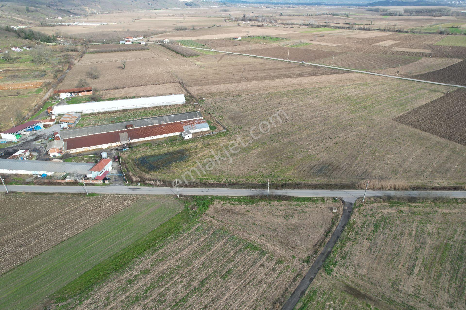 Asfalta Cepheli %40 Ticari + Konut İmarlı 7.373 M2 Mükemmel Konumda Arsa - Görsel 10