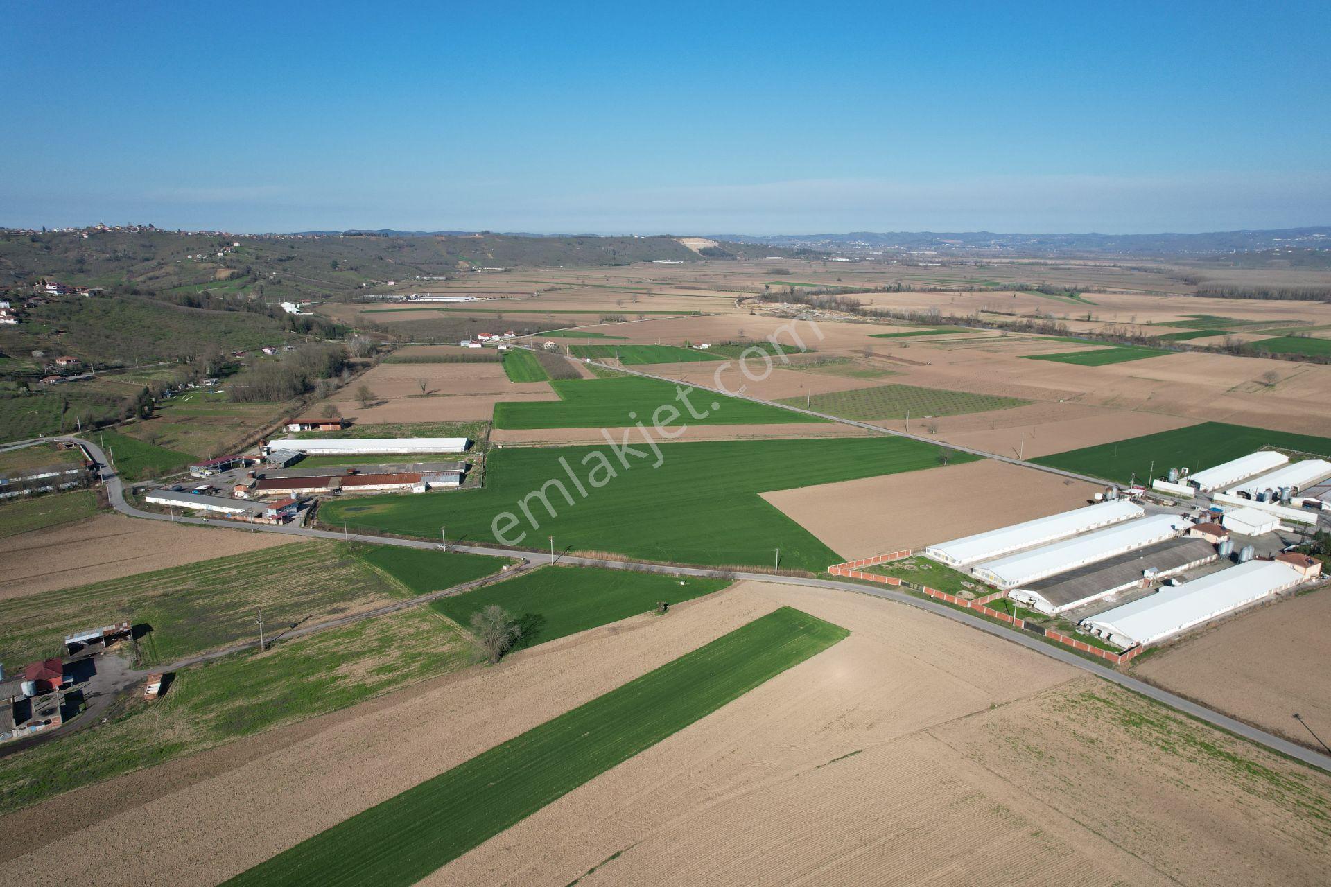 Asfalta Cepheli %40 Ticari + Konut İmarlı 7.373 M2 Mükemmel Konumda Arsa - Görsel 14