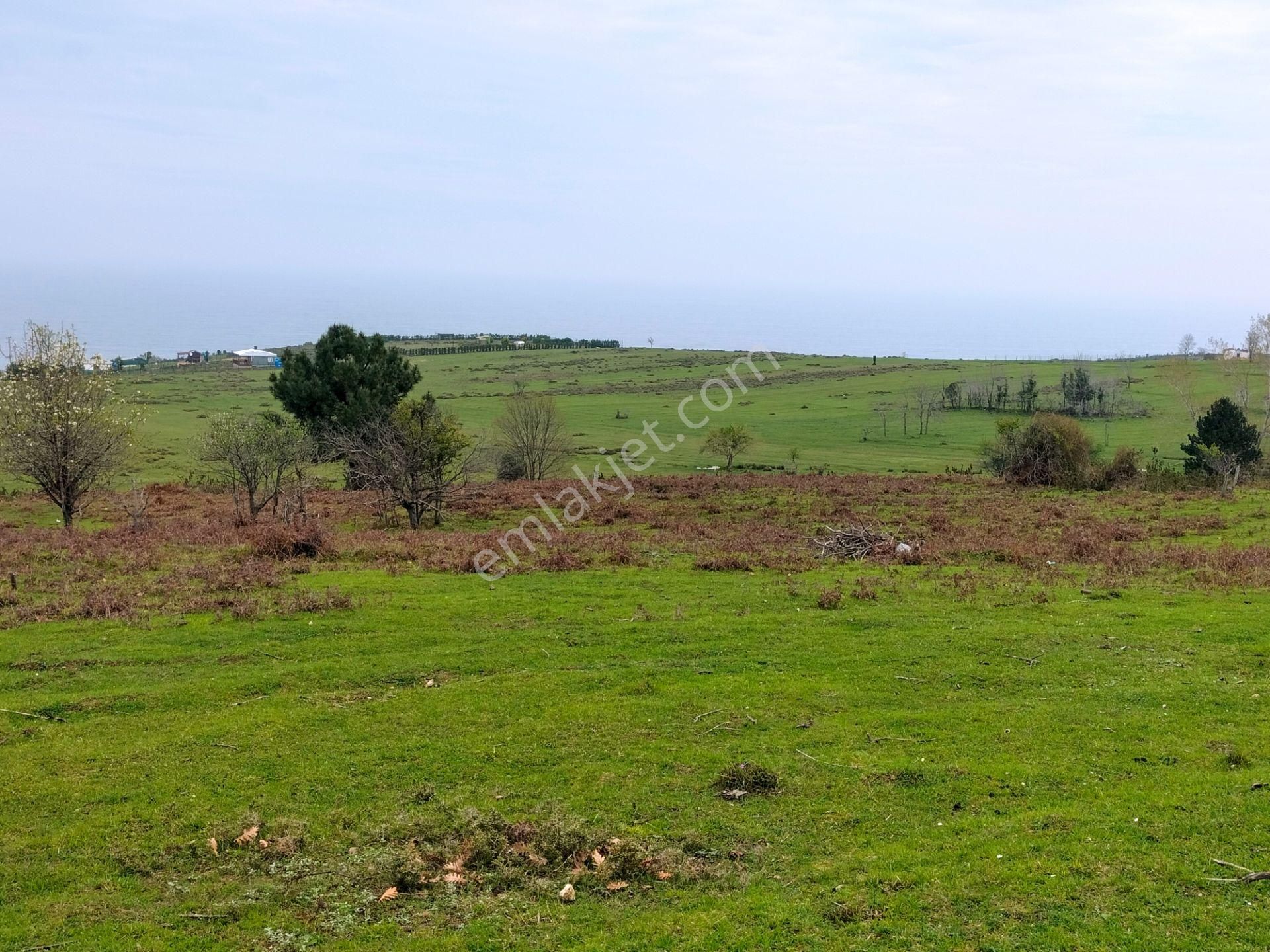 Şile Karacaköy De Harika Konumda 737m2 Villa İmarlı Satılık Arsa - Görsel 3